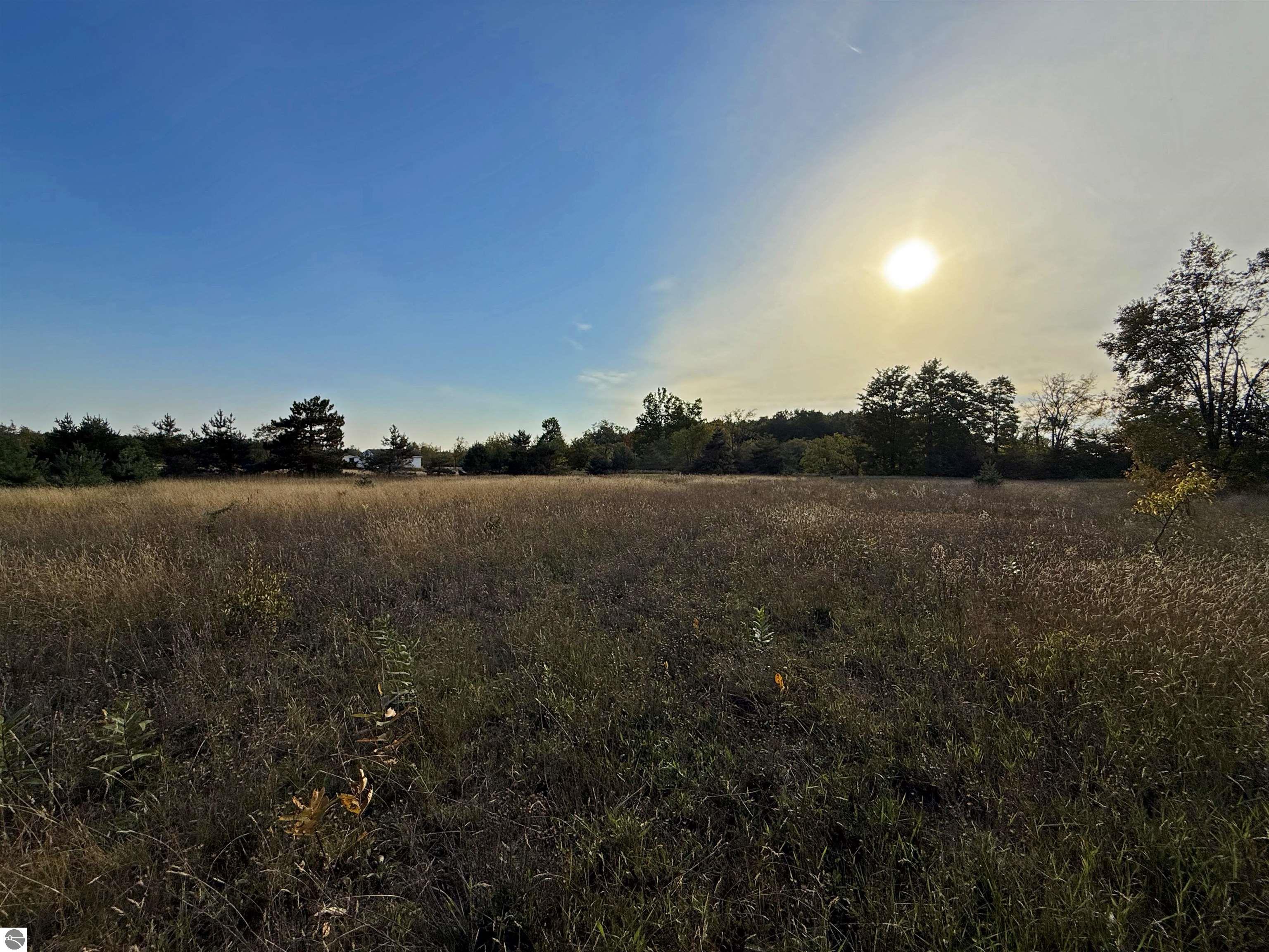 3191 Tucker Road, Elmira, MI 49730 — Photo 53