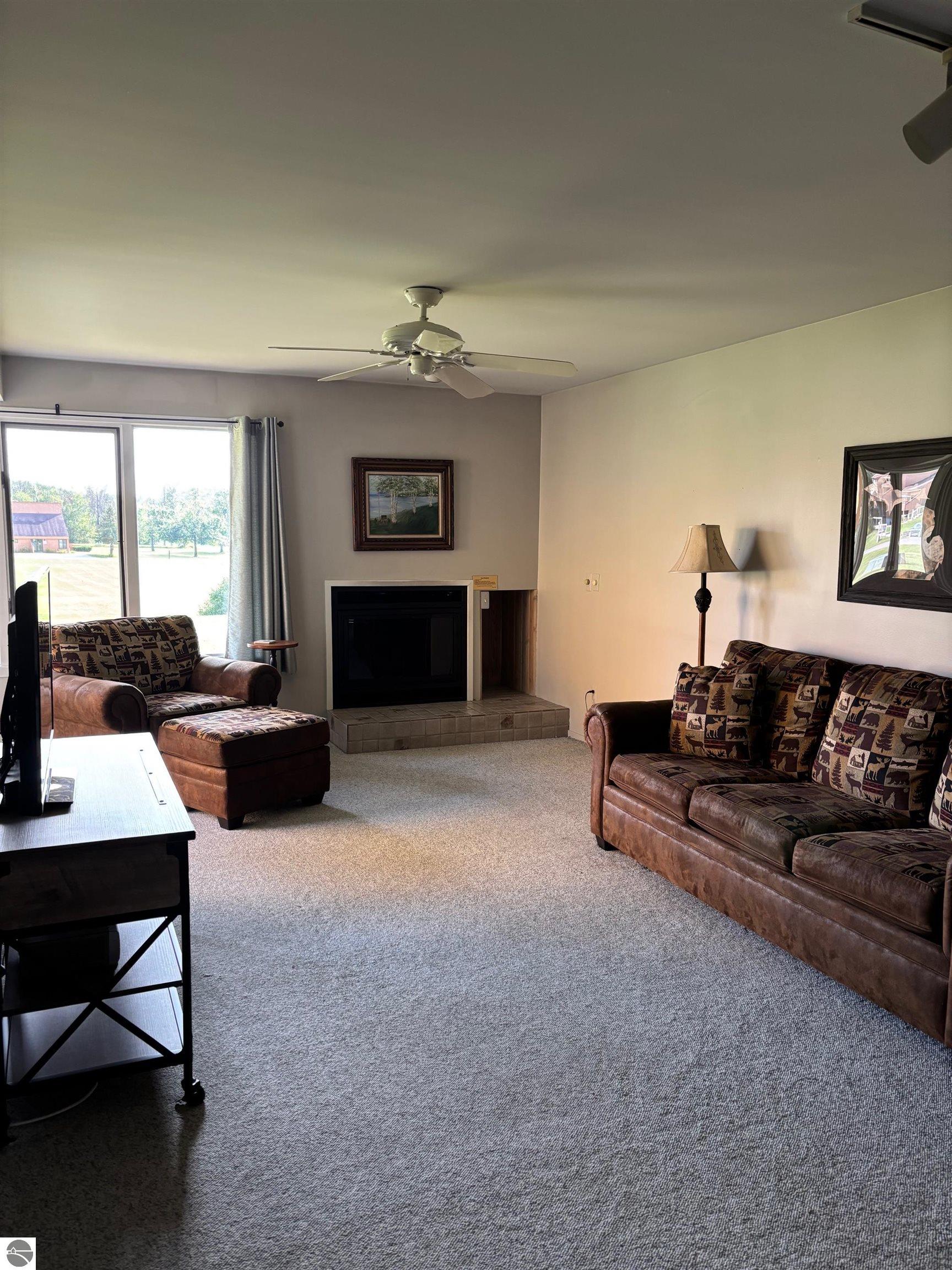 4749 S Pleasantview Trail, Harbor Springs, MI 49740 — Photo 3