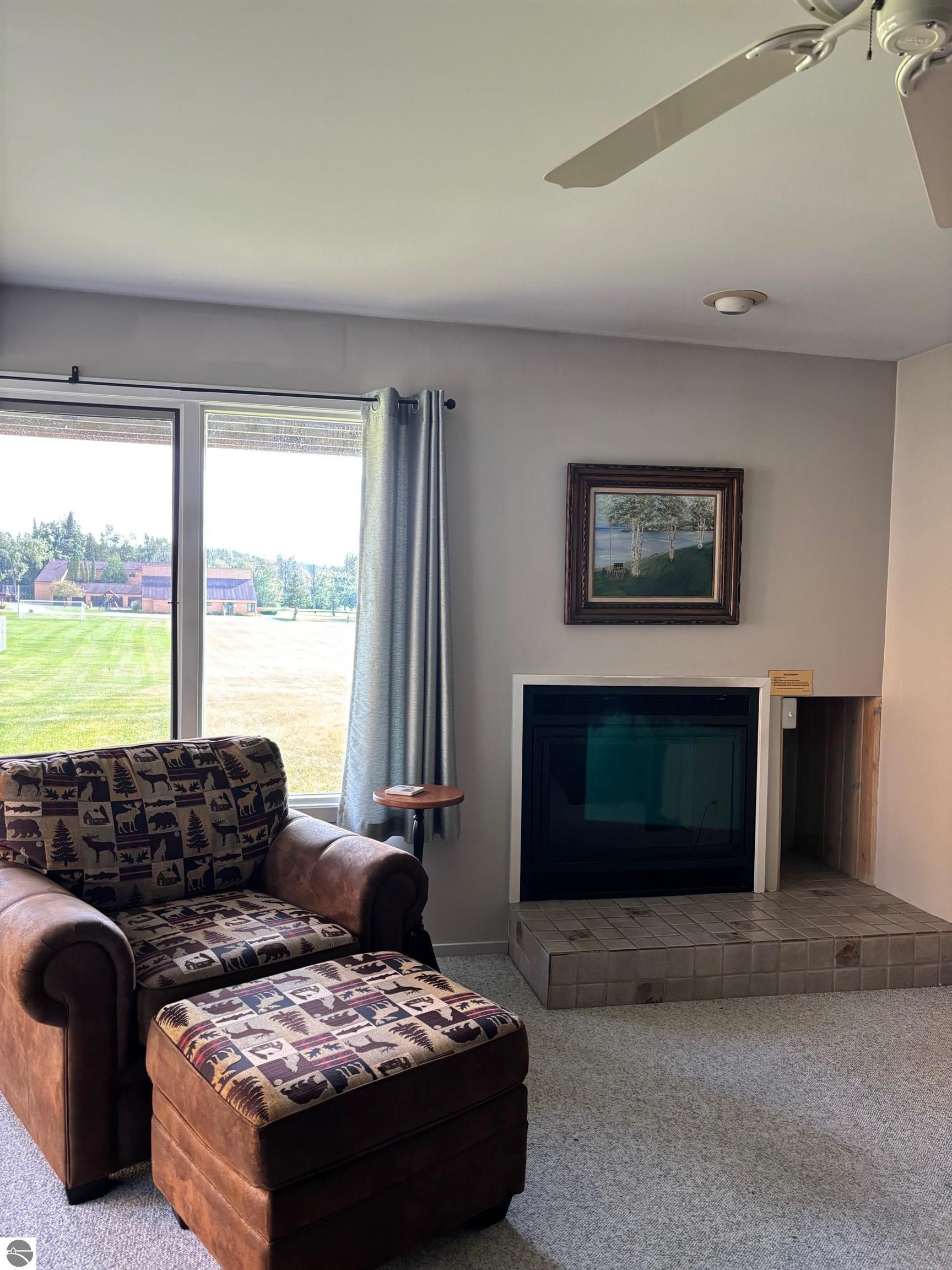 4749 S Pleasantview Trail, Harbor Springs, MI 49740 — Photo 4