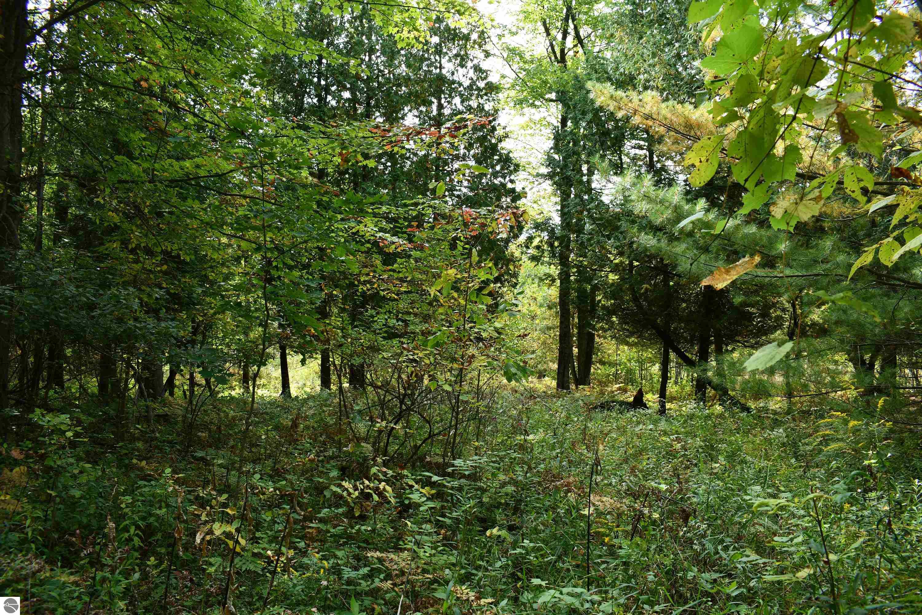225 Bischoff Road, Tawas City, MI 48763 — Photo 39