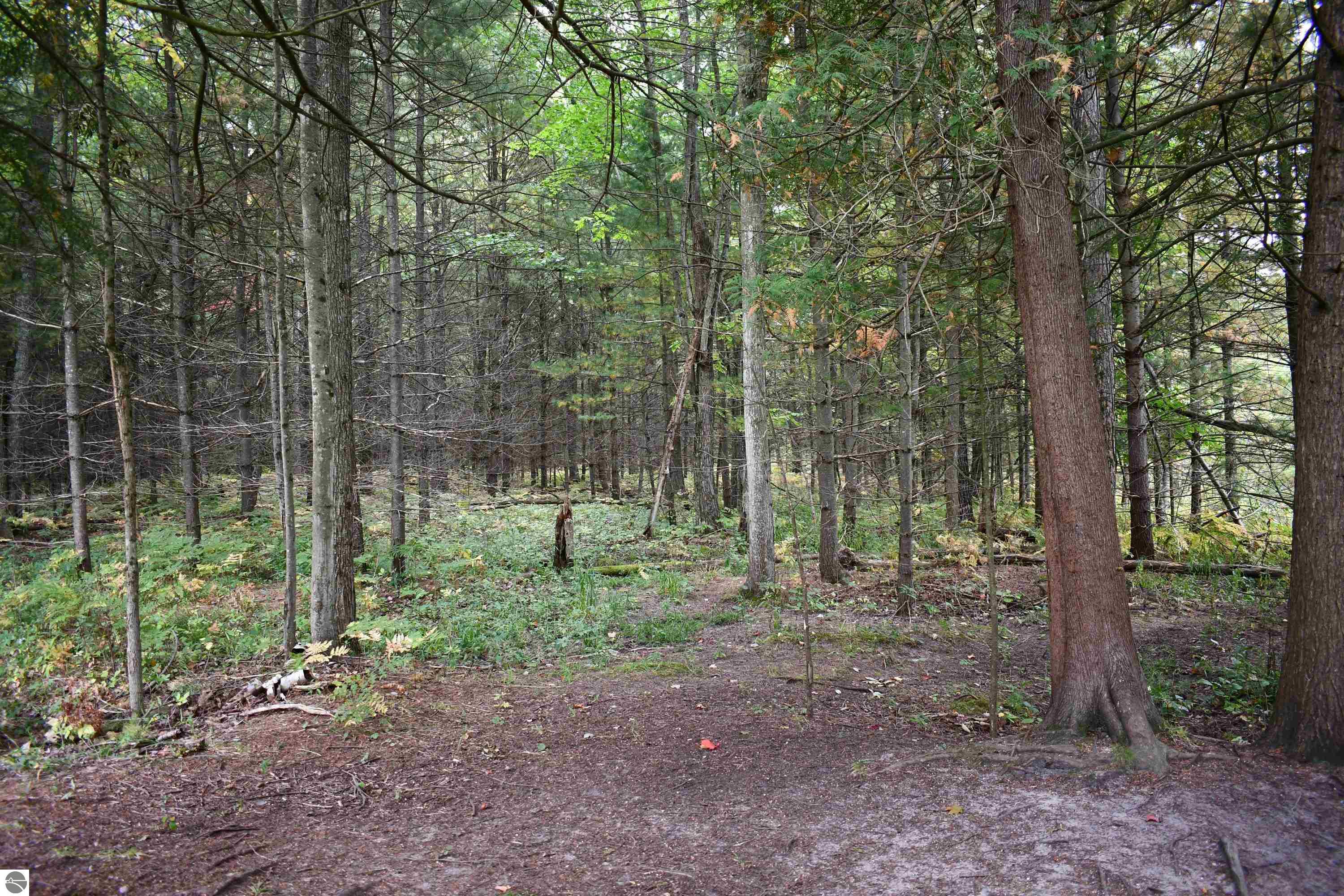 225 Bischoff Road, Tawas City, MI 48763 — Photo 40