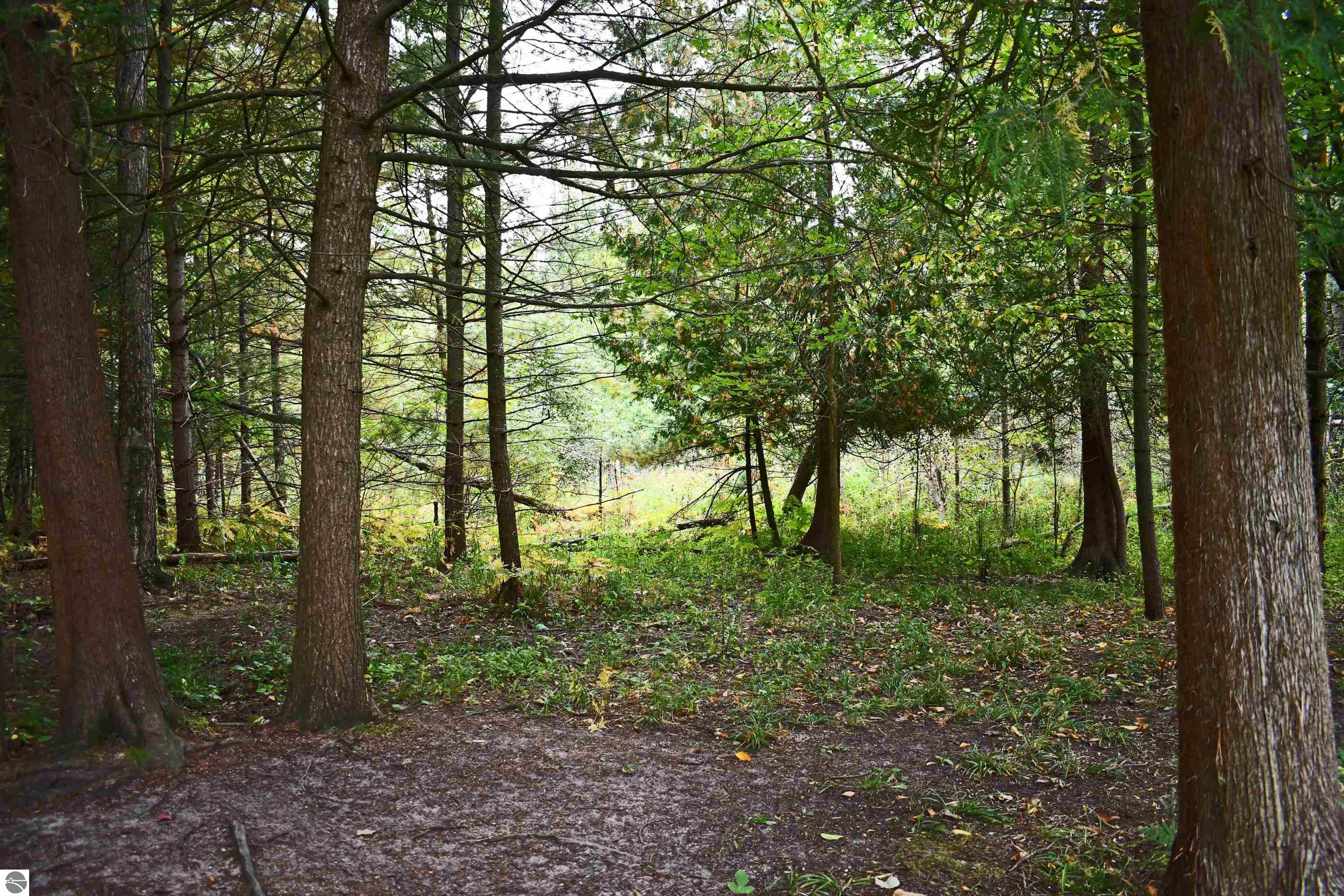 225 Bischoff Road, Tawas City, MI 48763 — Photo 41