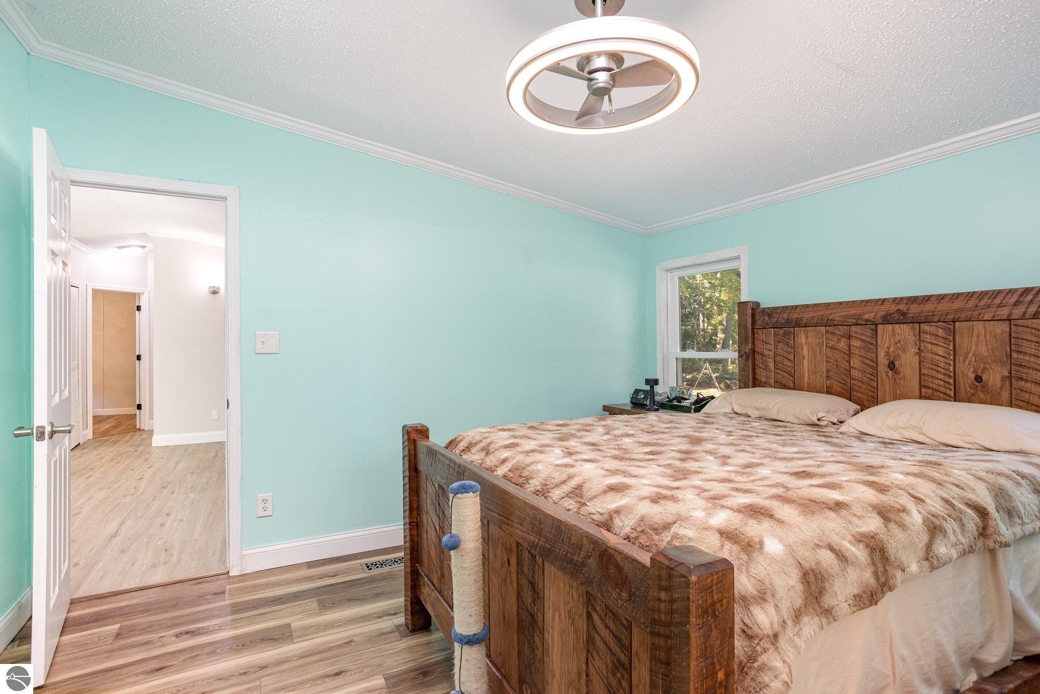 9309 Merle Drive, Crystal, MI 48818 — Photo 8
