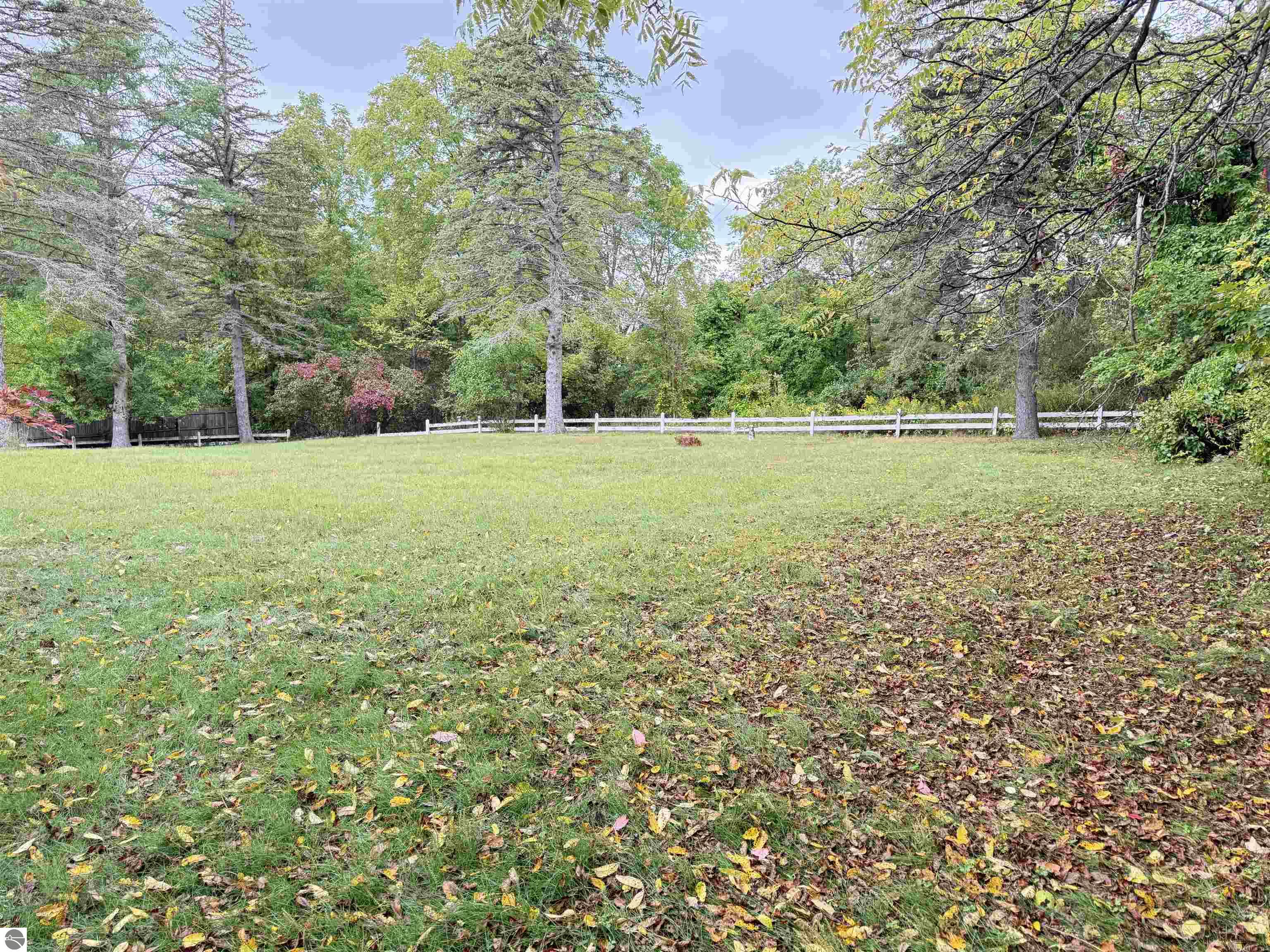 6868 Walker Street, Benzonia, MI 49616 — Photo 4