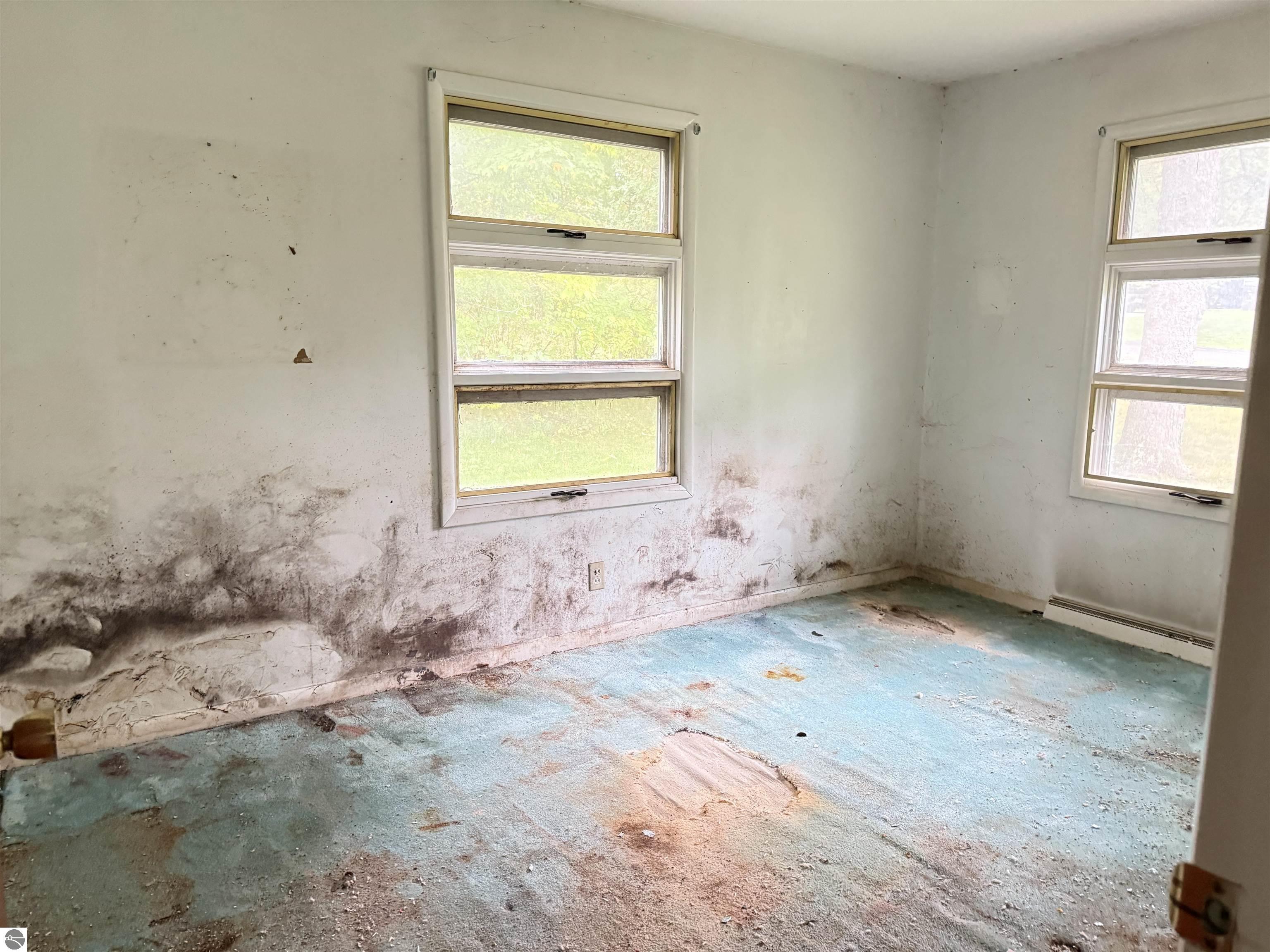 6868 Walker Street, Benzonia, MI 49616 — Photo 8