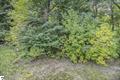 Photo 36 for MLS 1939234