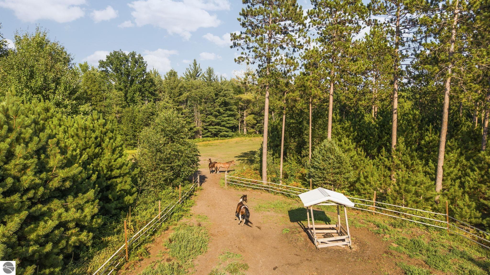6061 Hodge Road, Kingsley, MI 49649 — Photo 53