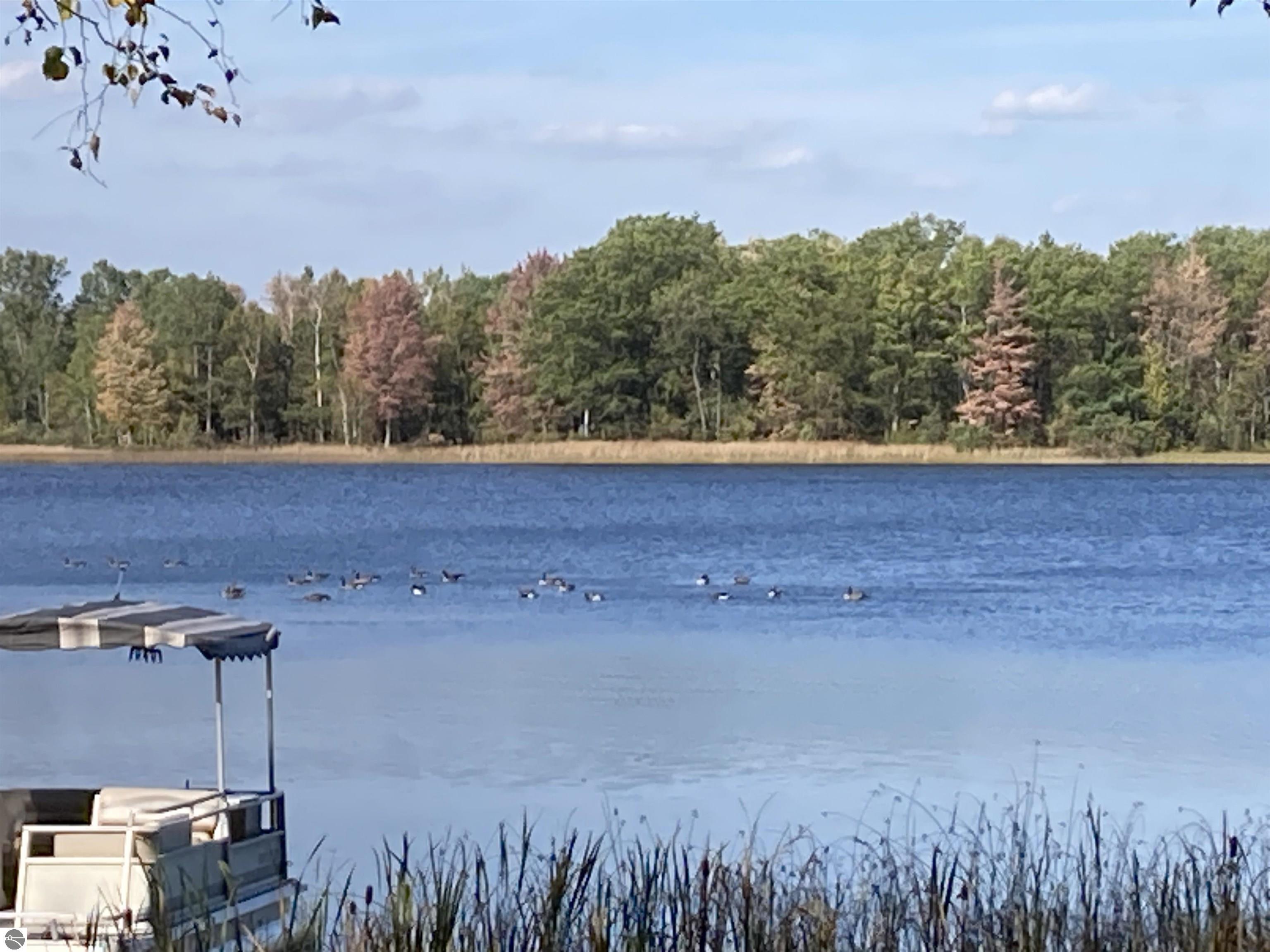 3307 Deerfield Lane, Lupton, MI 48635 — Photo 3