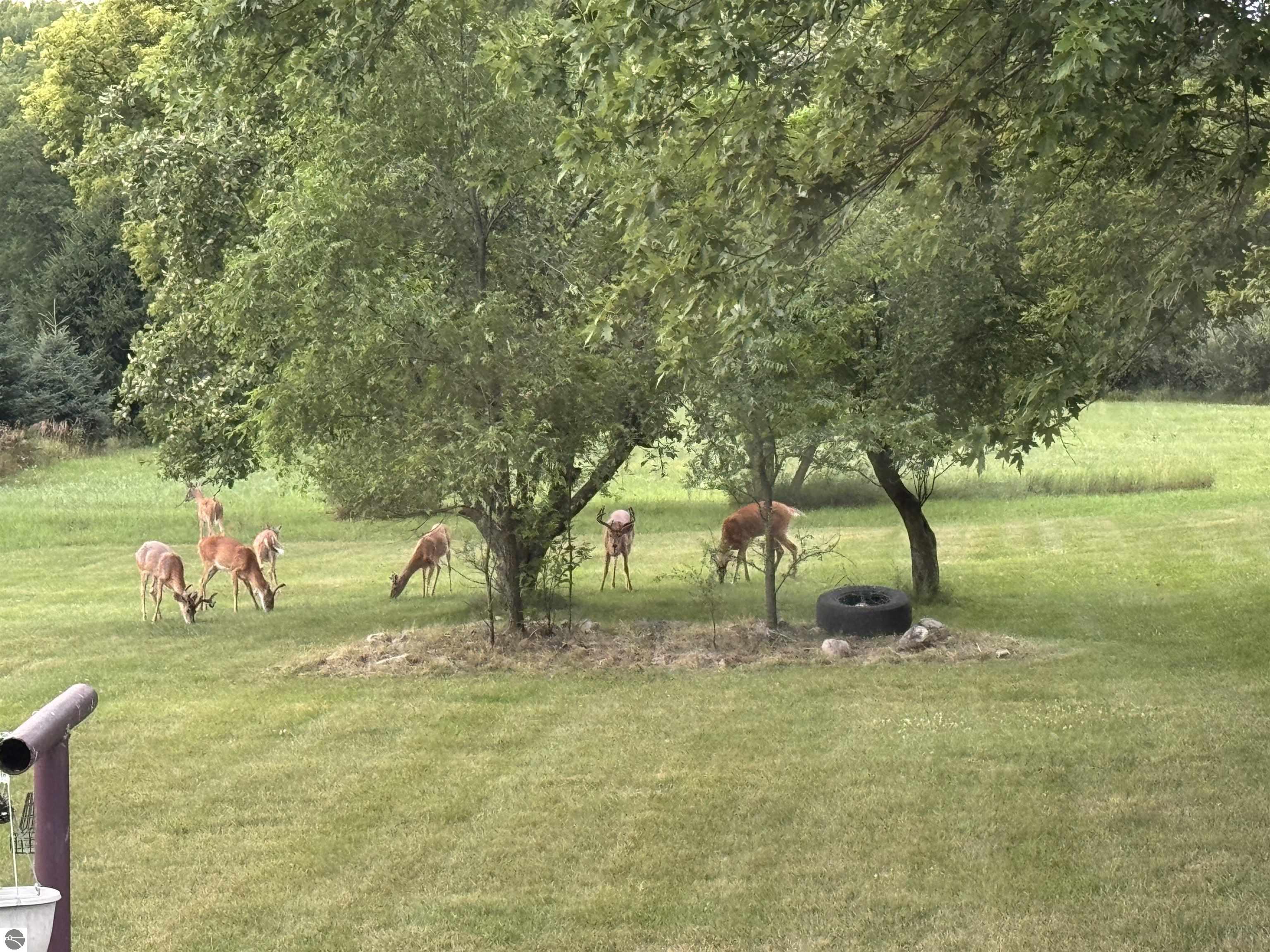 10310 W Lincoln Road, Riverdale, MI 48877 — Photo 54