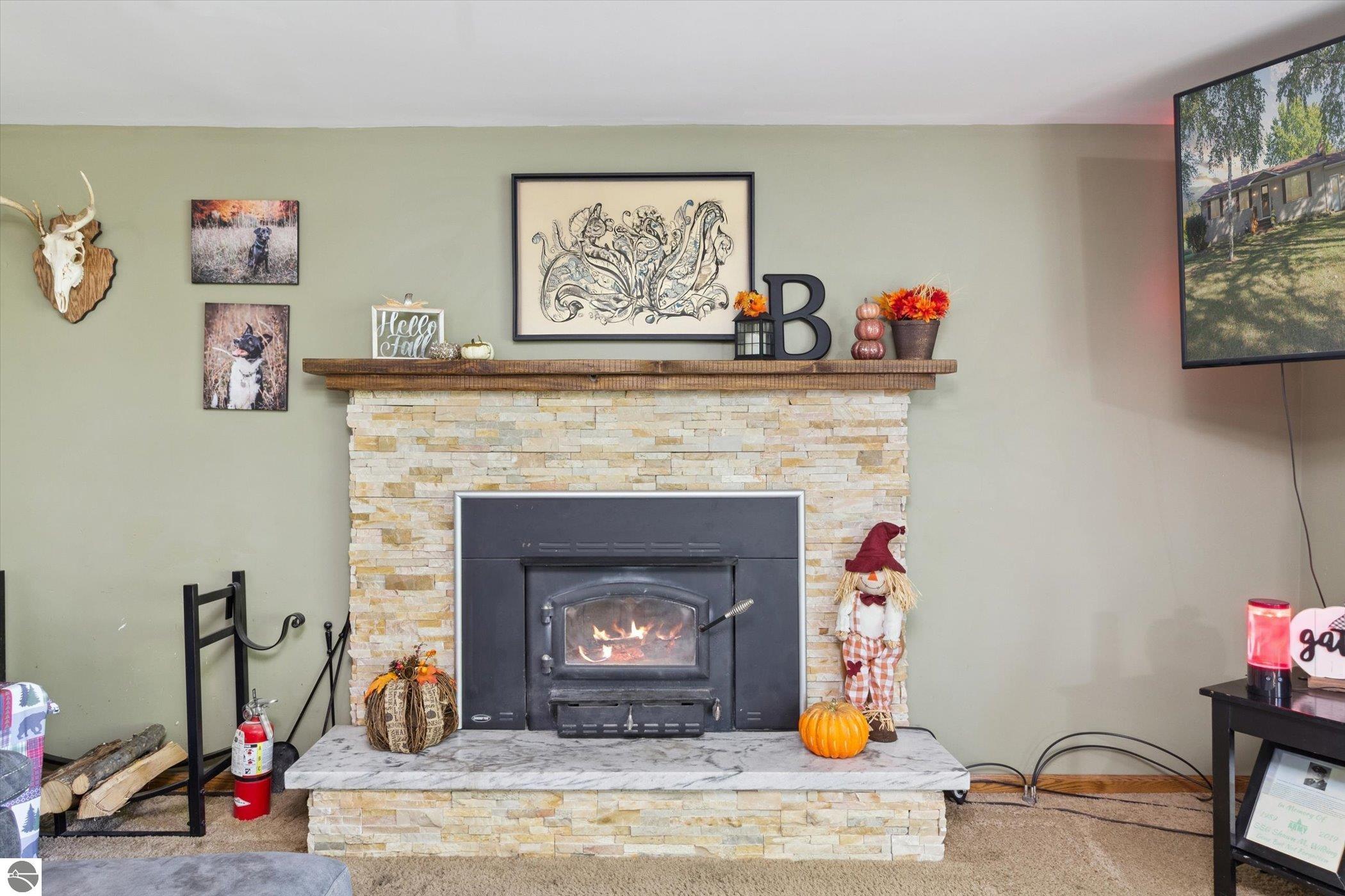10310 W Lincoln Road, Riverdale, MI 48877 — Photo 7