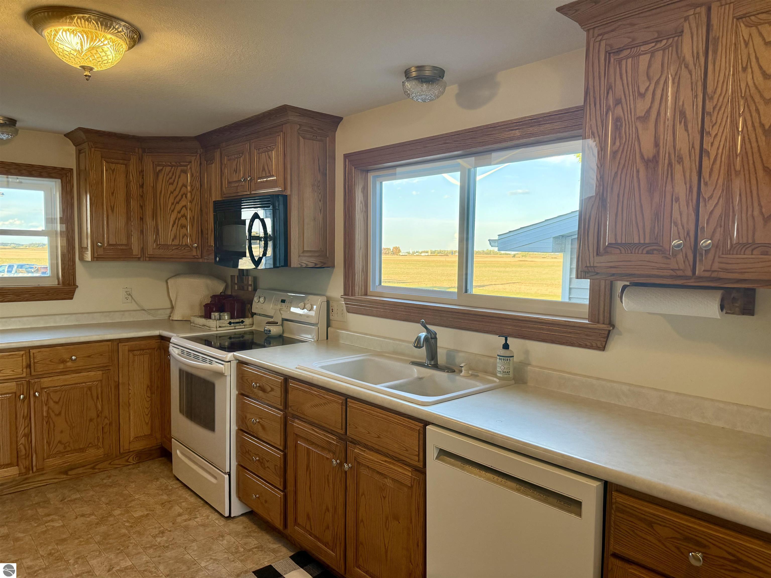 4651 S Begole Road, Ithaca, MI 48847 — Photo 14