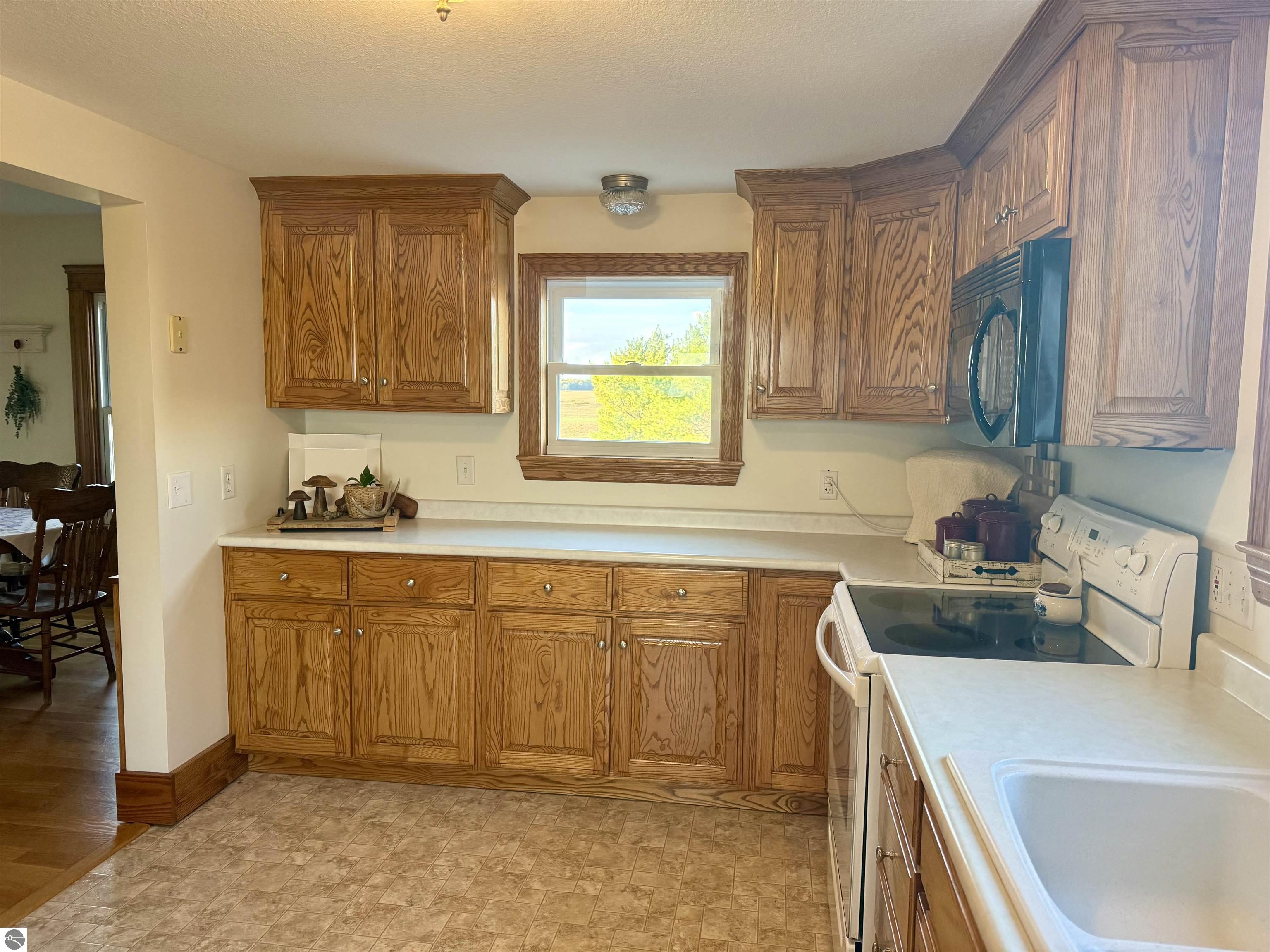 4651 S Begole Road, Ithaca, MI 48847 — Photo 15