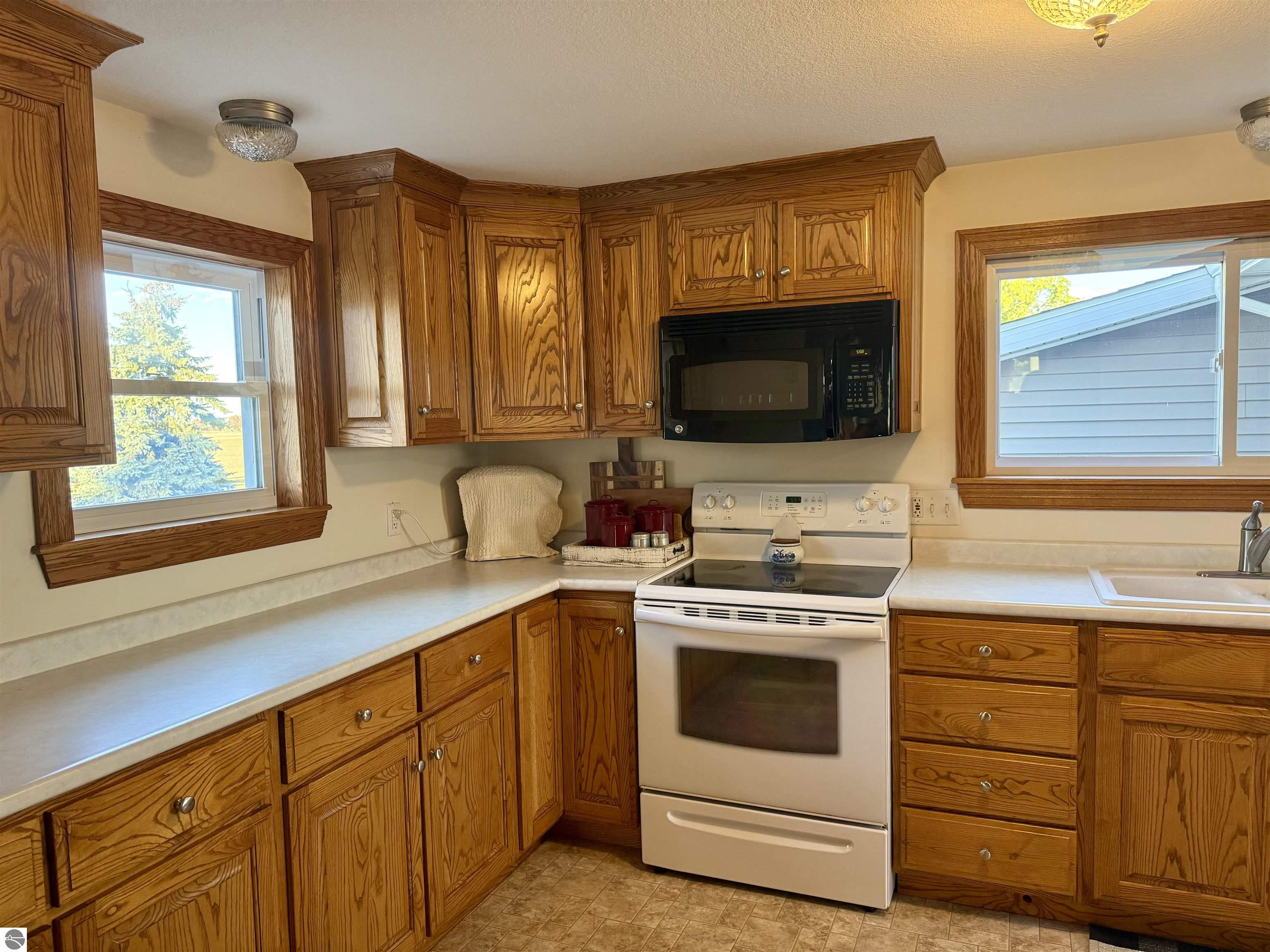 4651 S Begole Road, Ithaca, MI 48847 — Photo 17