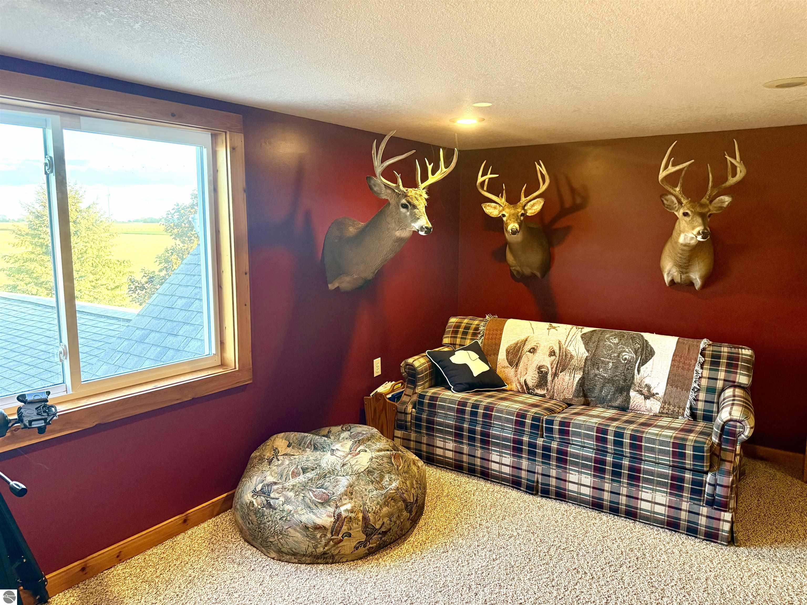 4651 S Begole Road, Ithaca, MI 48847 — Photo 35