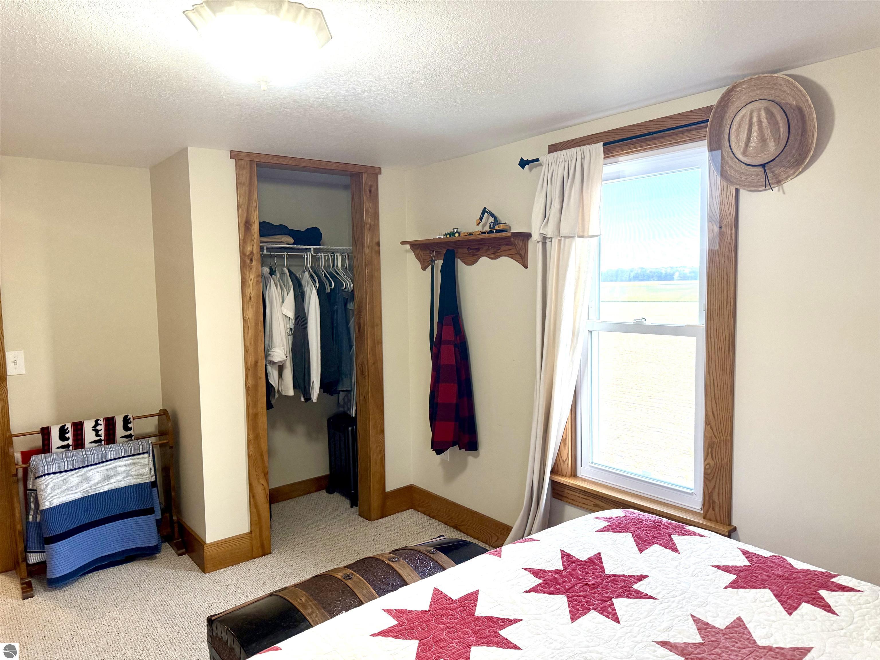 4651 S Begole Road, Ithaca, MI 48847 — Photo 47