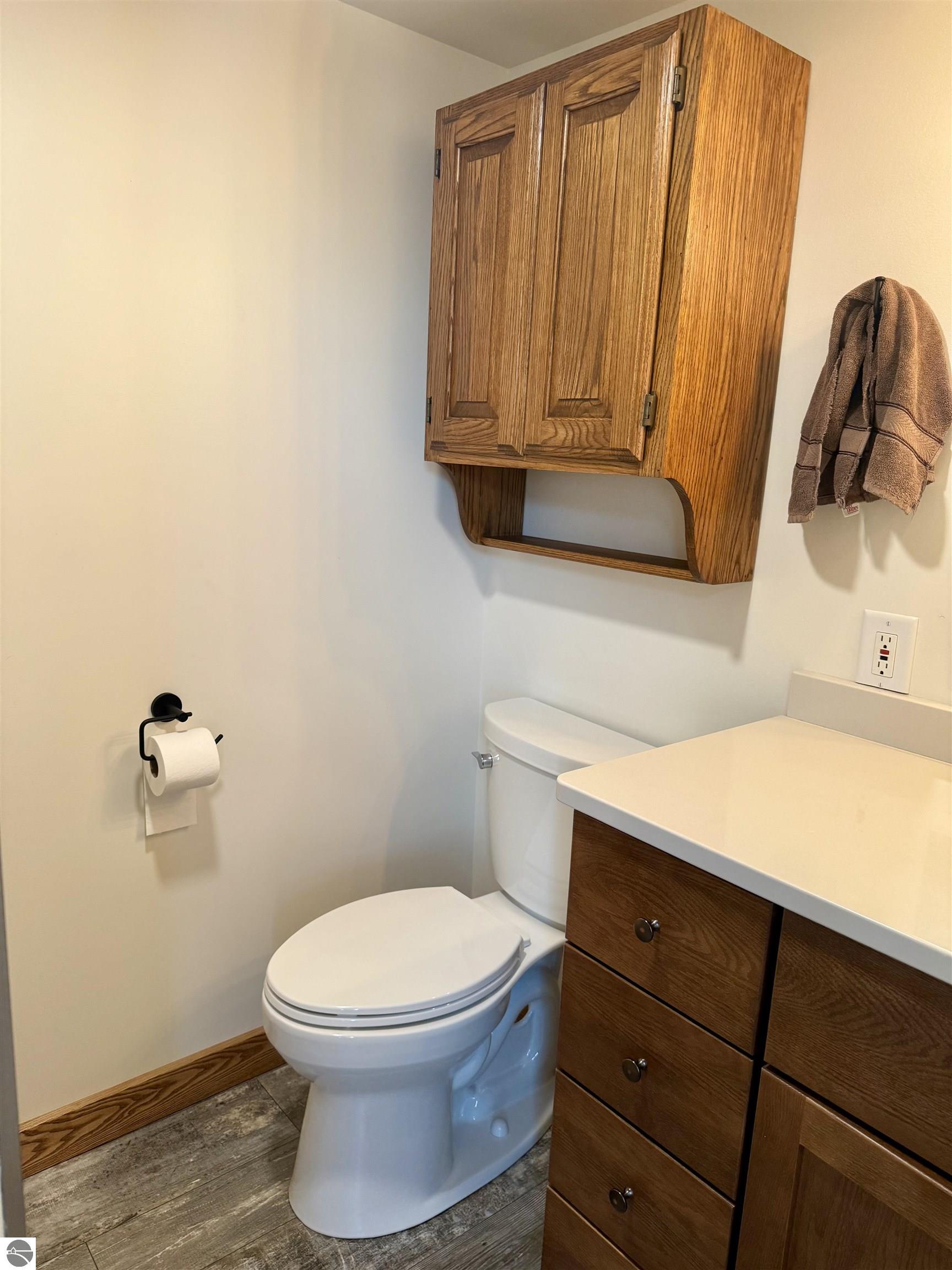 4651 S Begole Road, Ithaca, MI 48847 — Photo 51