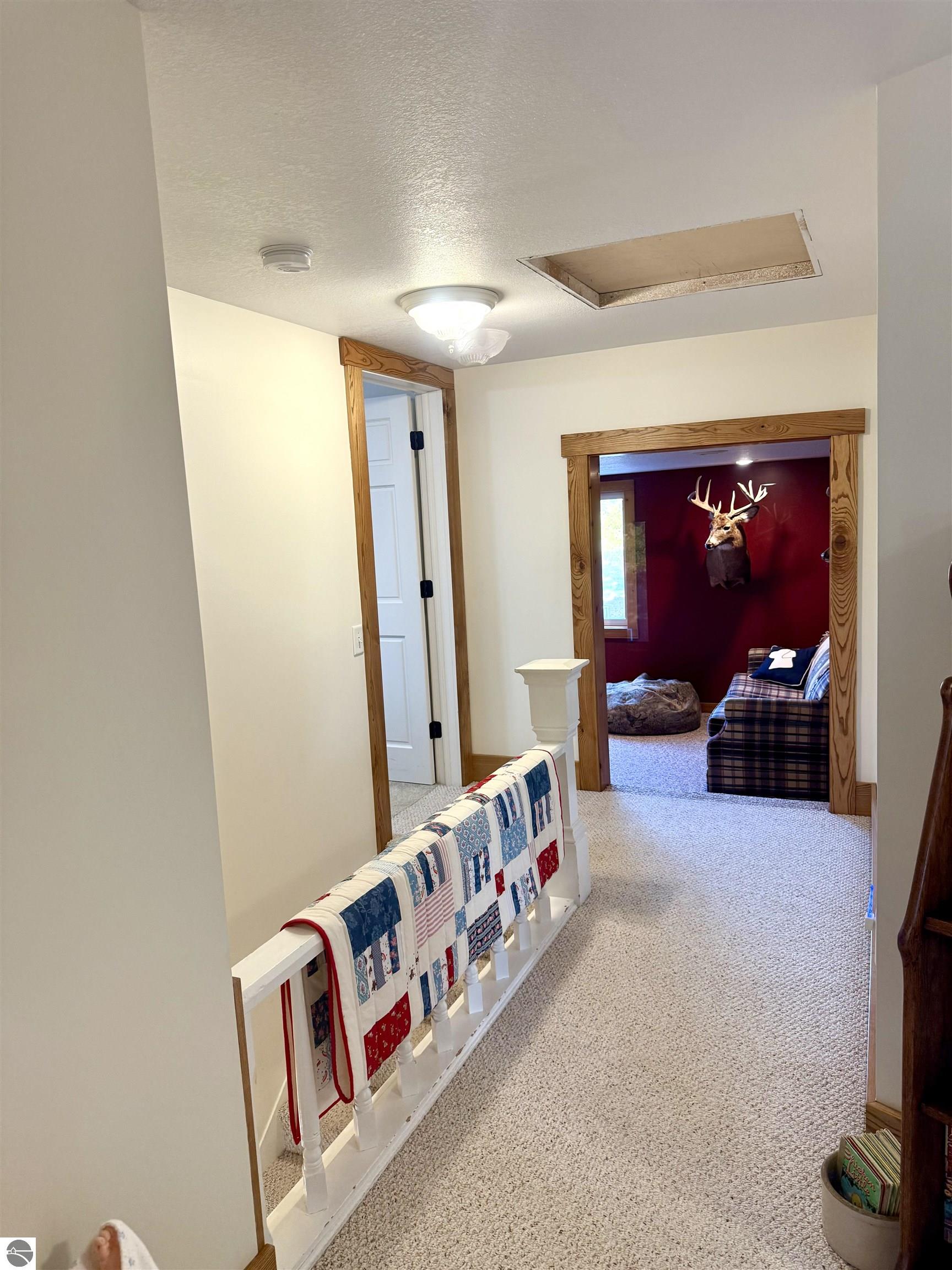 4651 S Begole Road, Ithaca, MI 48847 — Photo 52