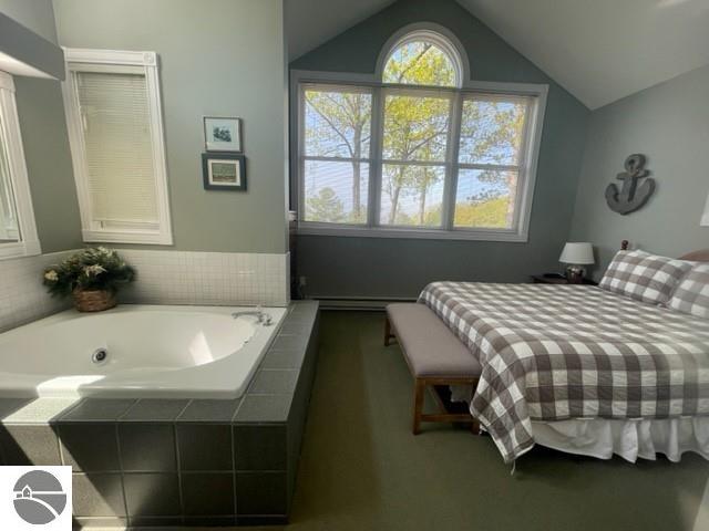 29D Brook Hill, Glen Arbor, MI 49636 — Photo 12