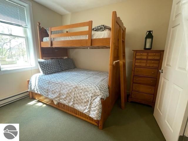 29D Brook Hill, Glen Arbor, MI 49636 — Photo 16