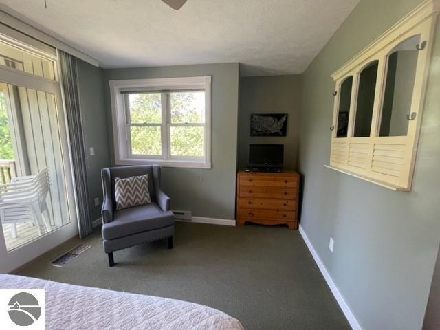 29D Brook Hill, Glen Arbor, MI 49636 — Photo 19