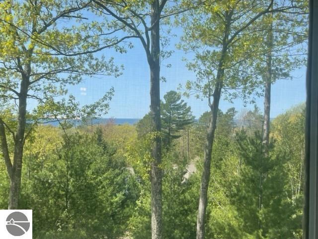 29D Brook Hill, Glen Arbor, MI 49636 — Photo 9