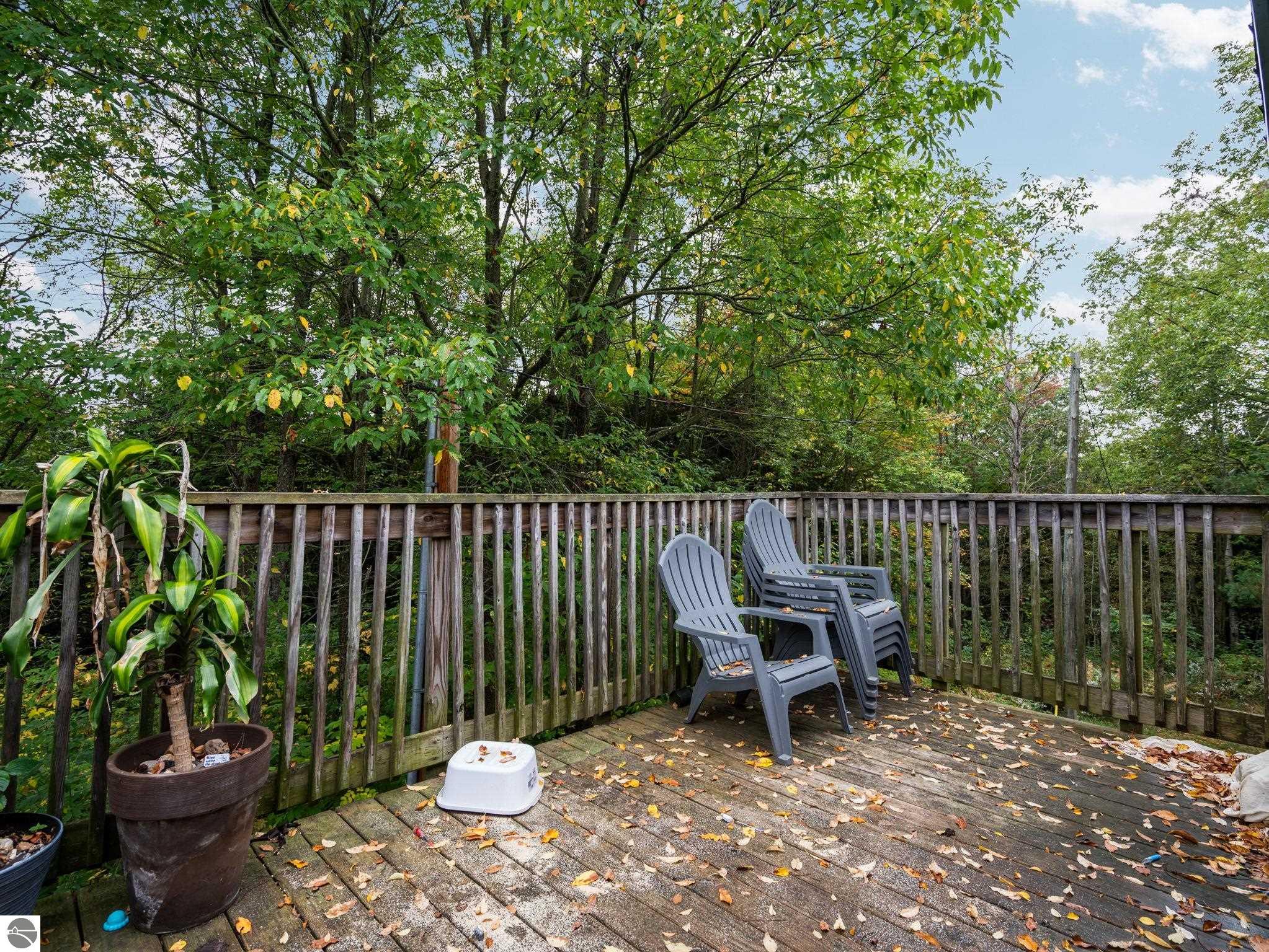 3714 N 19 Road, Mesick, MI 49668 — Photo 28
