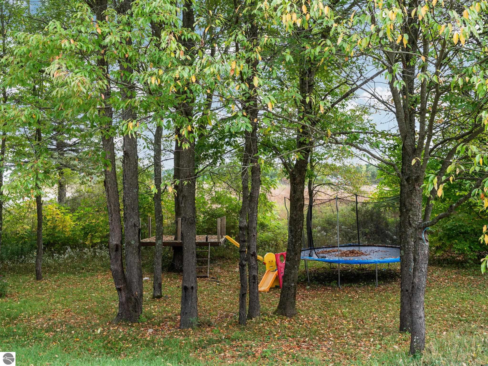 3714 N 19 Road, Mesick, MI 49668 — Photo 31