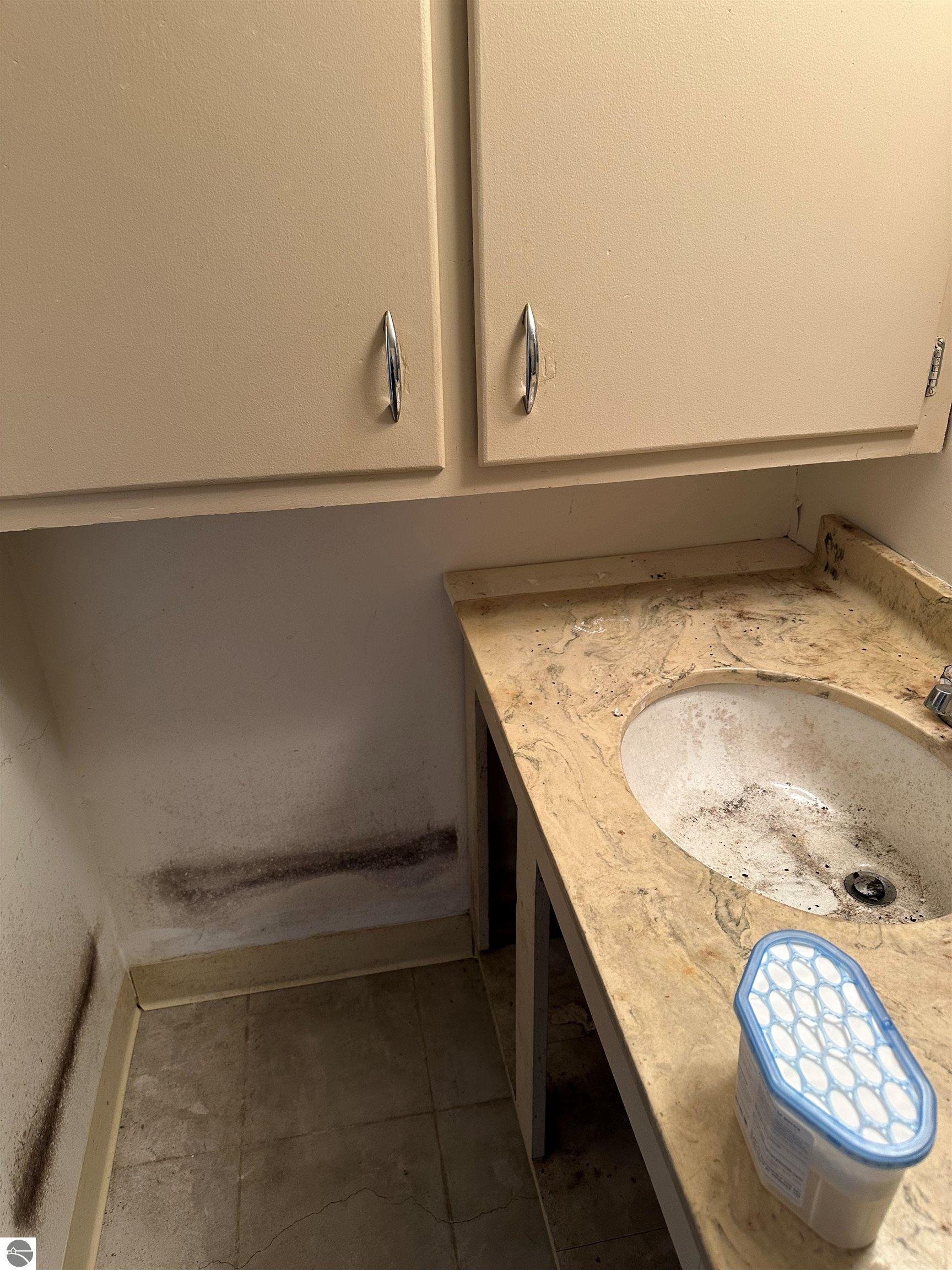 11782 E State Street, Fife Lake, MI 49633 — Photo 23