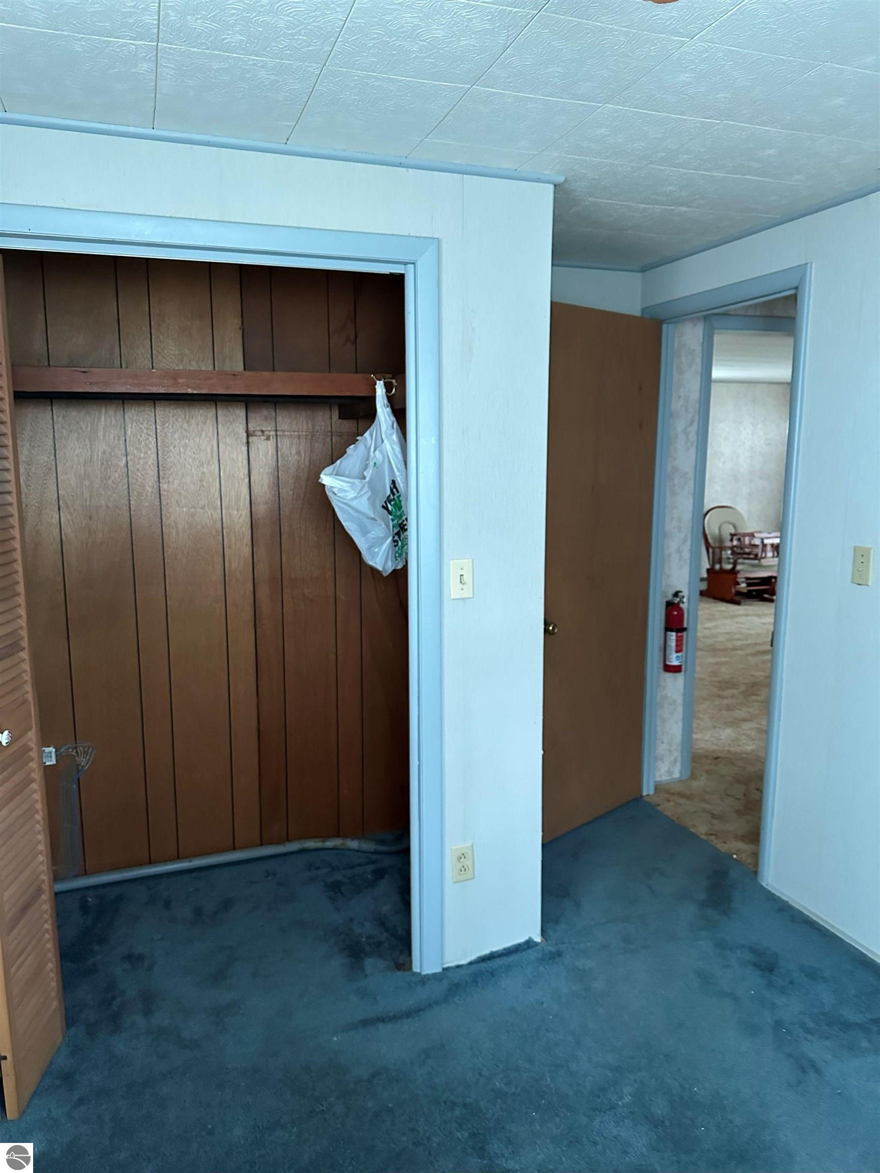 11782 E State Street, Fife Lake, MI 49633 — Photo 10