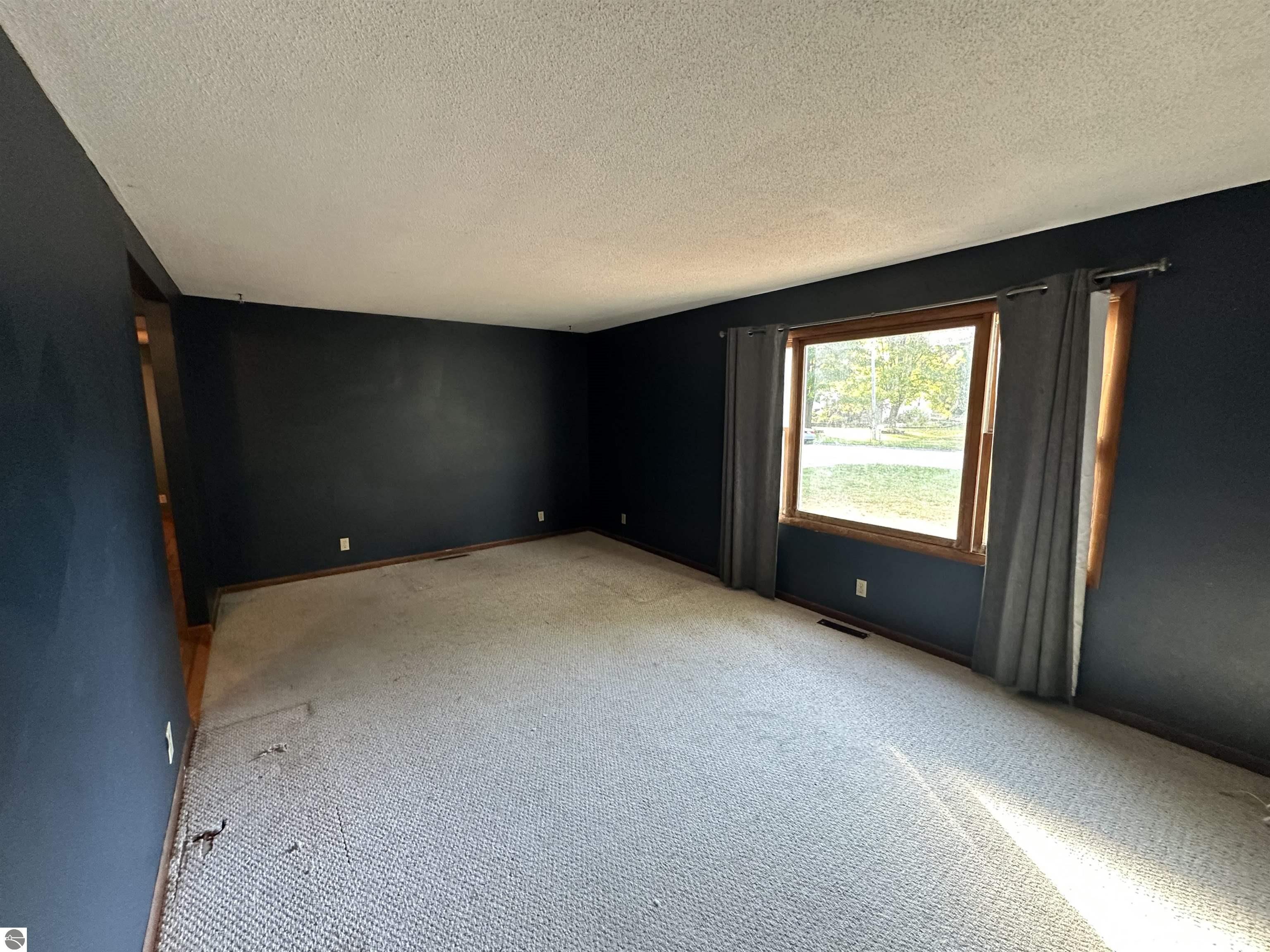 319 Forest Avenue, Clare, MI 48617 — Photo 9