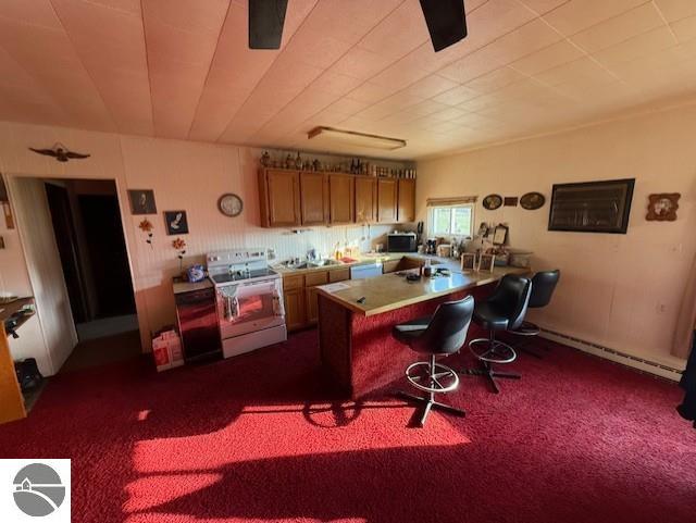 10969 E Lake Montcalm Road, Riverdale, MI 48877 — Photo 4