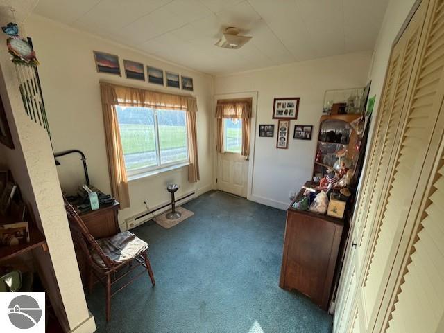 10969 E Lake Montcalm Road, Riverdale, MI 48877 — Photo 5