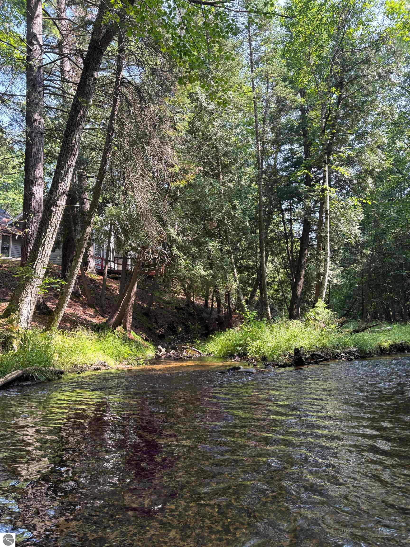 11703 East Drive, Fife Lake, MI 49633 — Photo 58