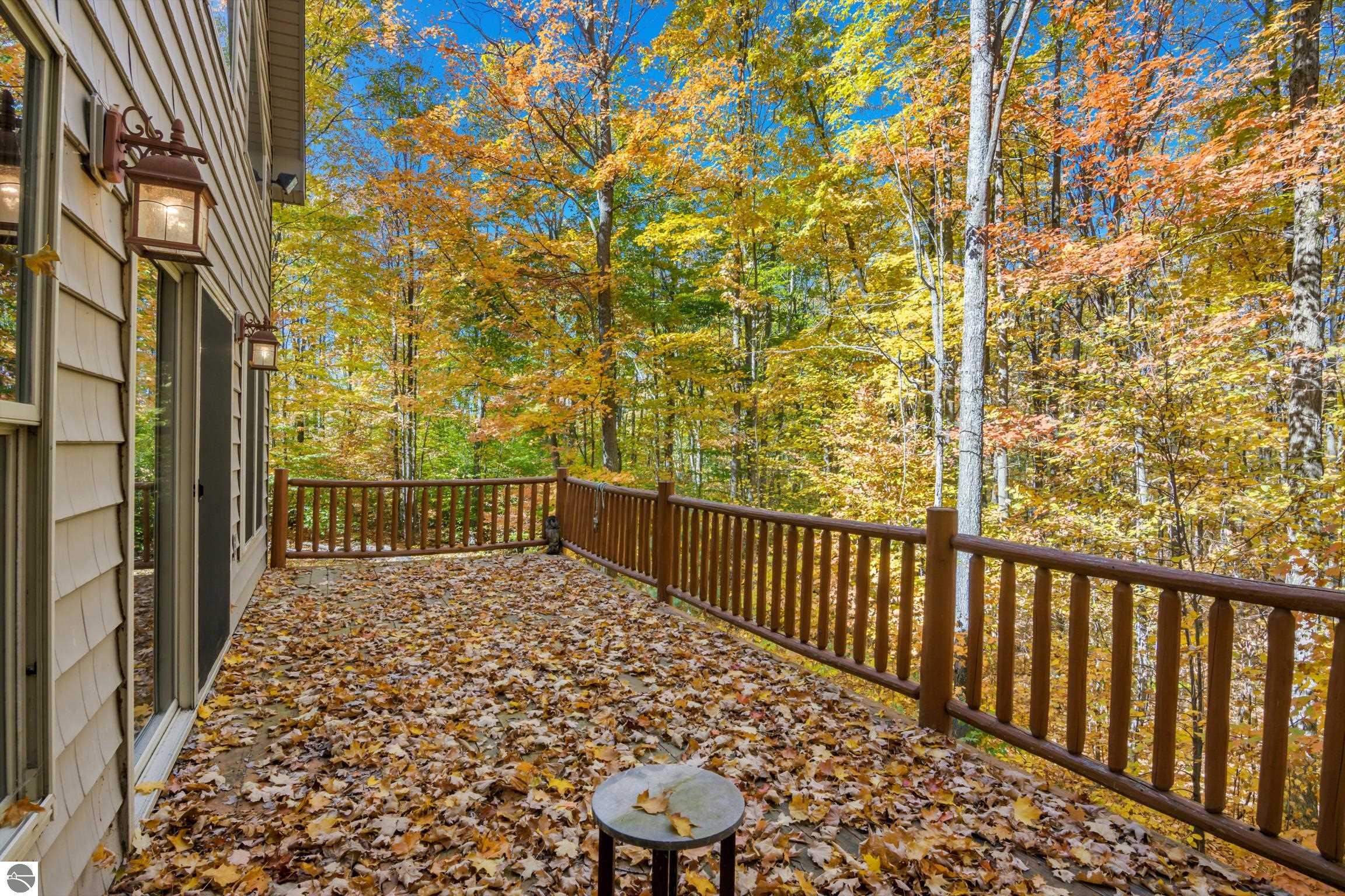 8536 Mapleridge, Mancelona, MI 49659 — Photo 11