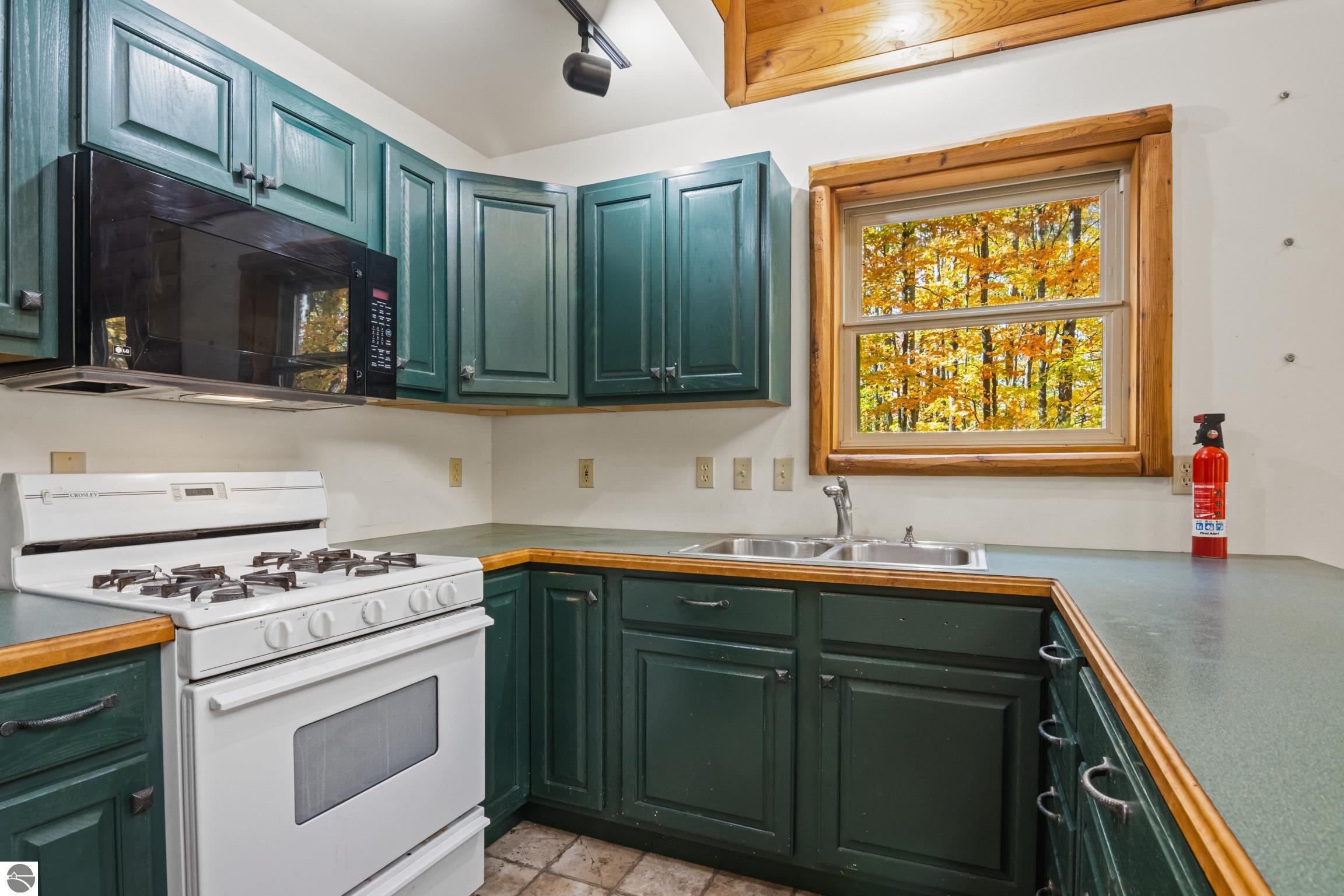 8536 Mapleridge, Mancelona, MI 49659 — Photo 5