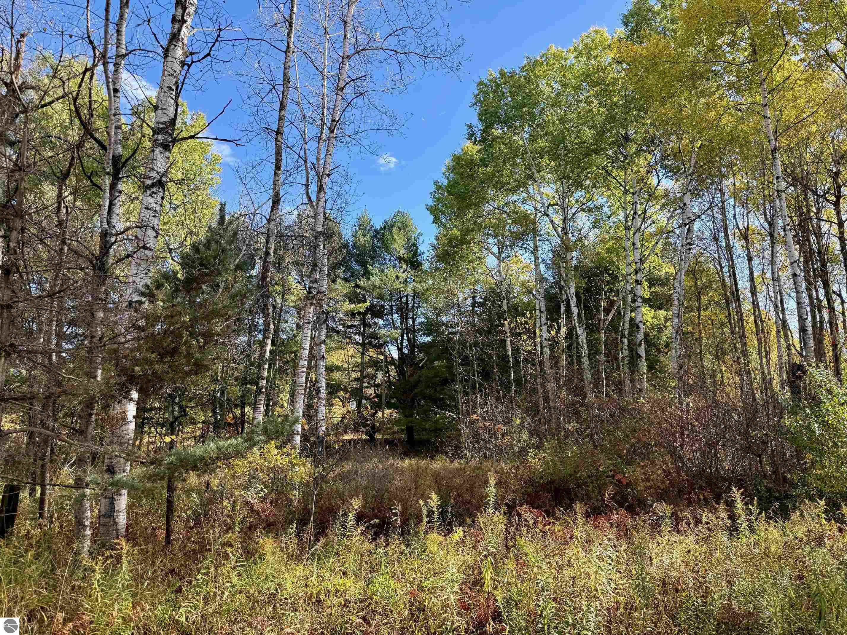 23252 175th Avenue, Tustin, MI 49688 — Photo 18