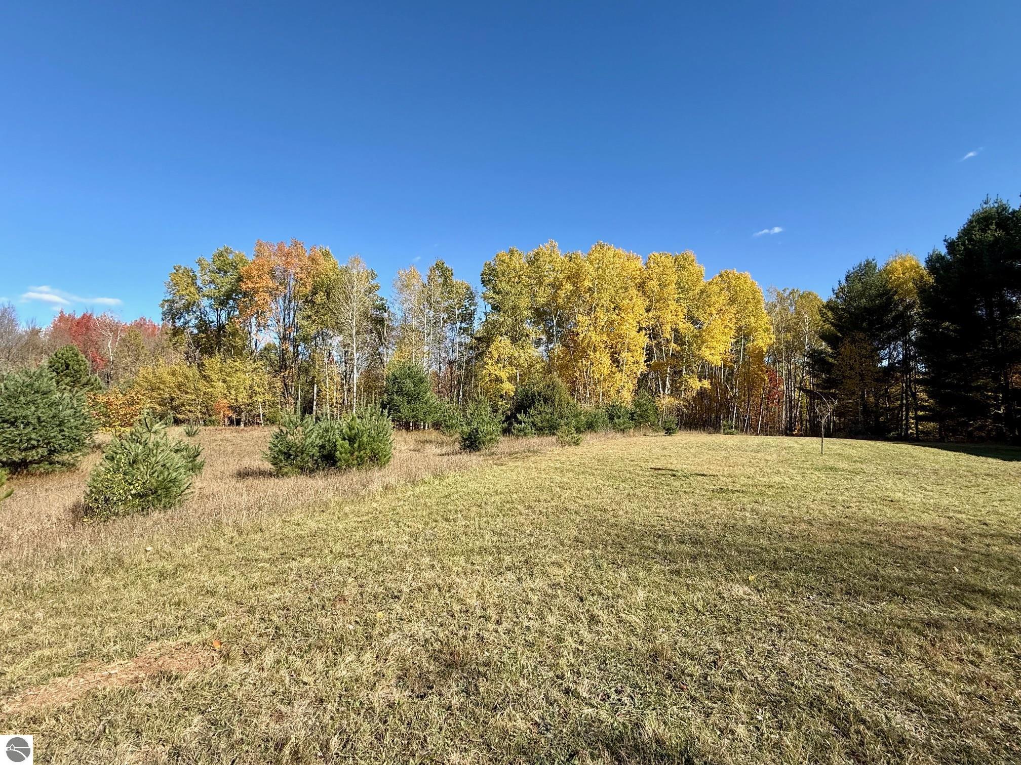 23252 175th Avenue, Tustin, MI 49688 — Photo 5