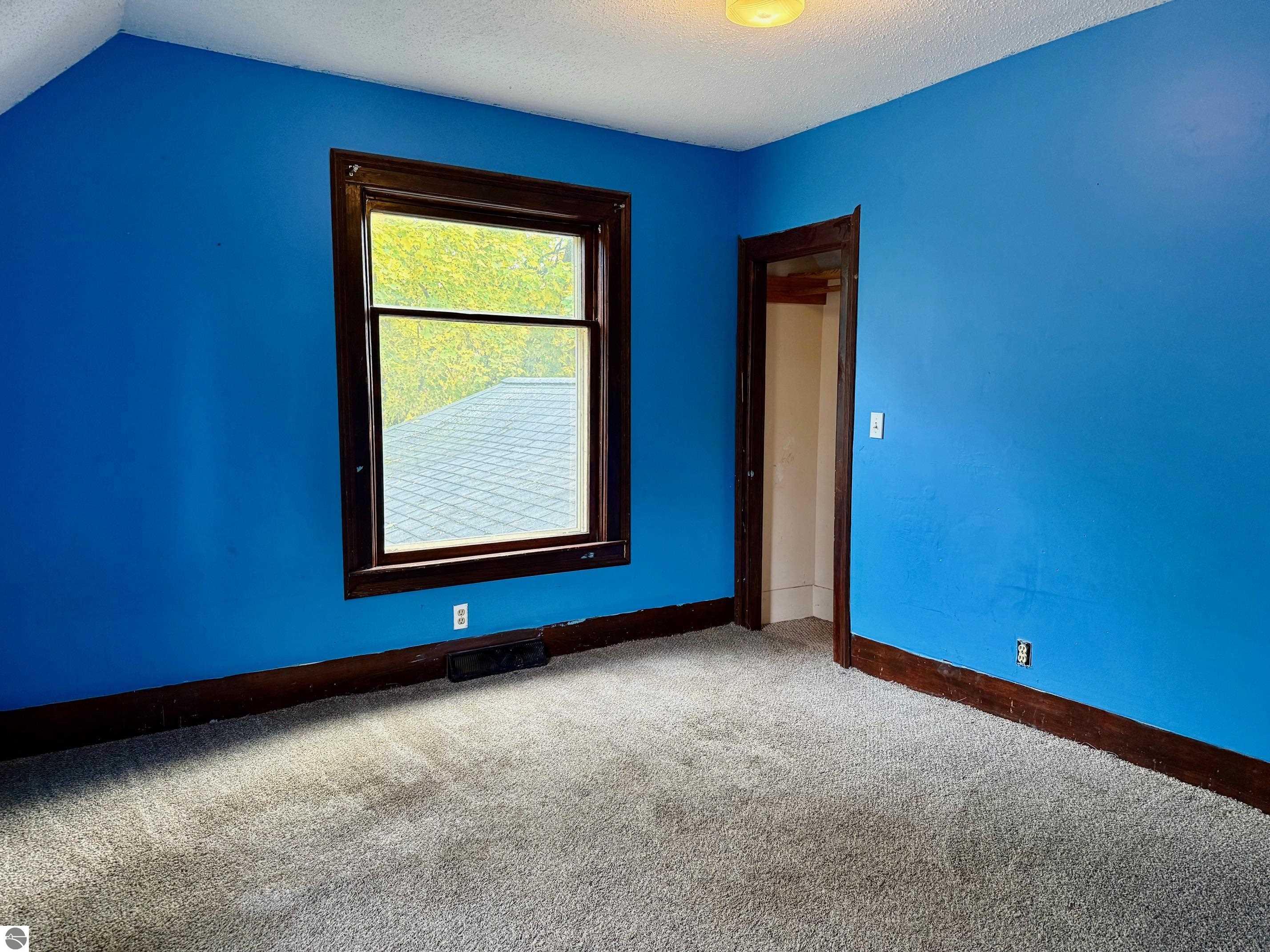 204 N Carland Street, Marion, MI 49665 — Photo 12