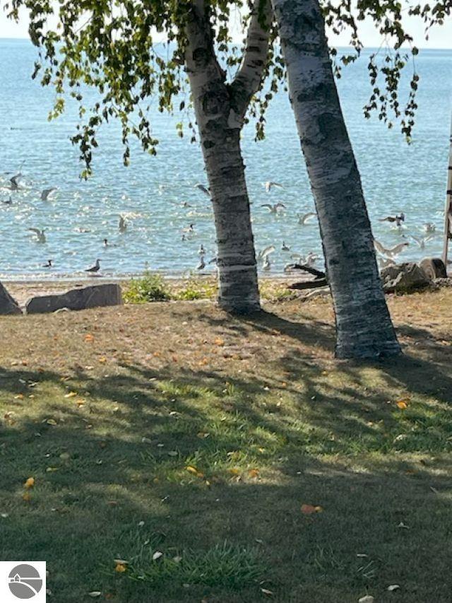1115 S Bay Drive, Tawas City, MI 48763 — Photo 31