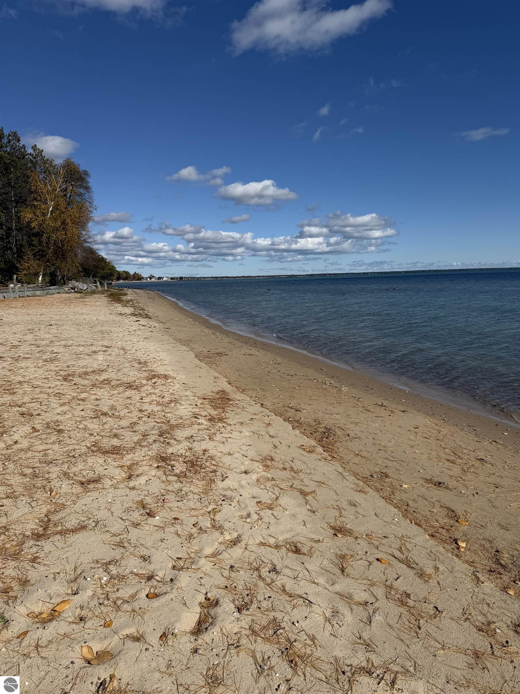 1115 S Bay Drive, Tawas City, MI 48763 — Photo 36