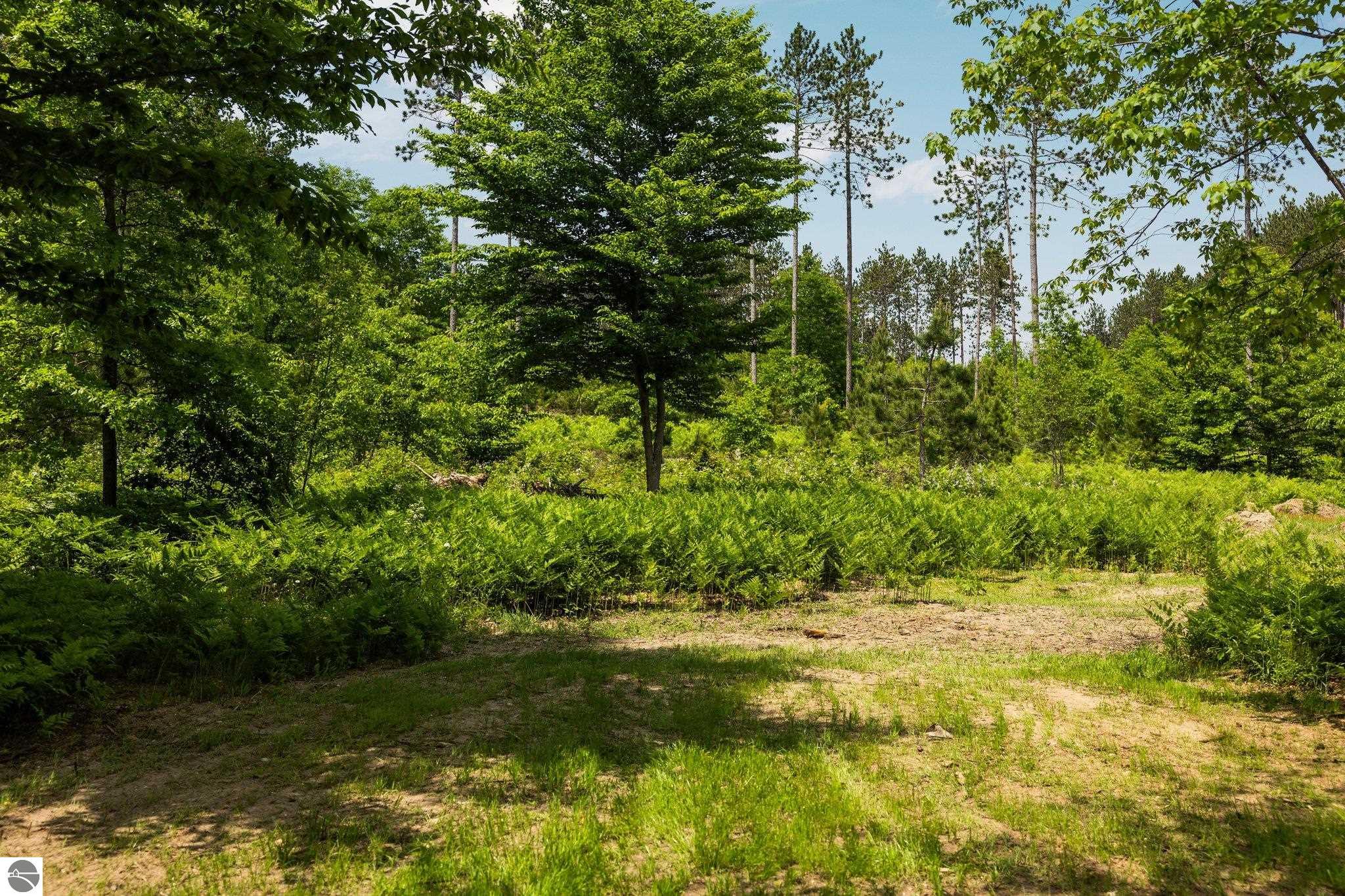 6330 Lund Road SW, Fife Lake, MI 49633 — Photo 57