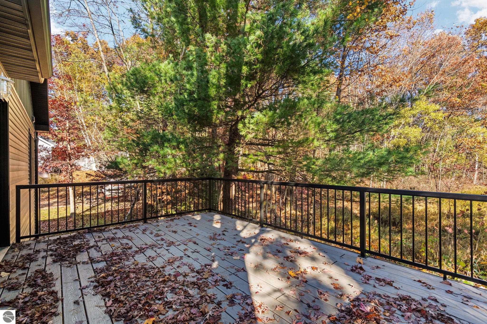 11739 E State Street, Fife Lake, MI 49633 — Photo 23