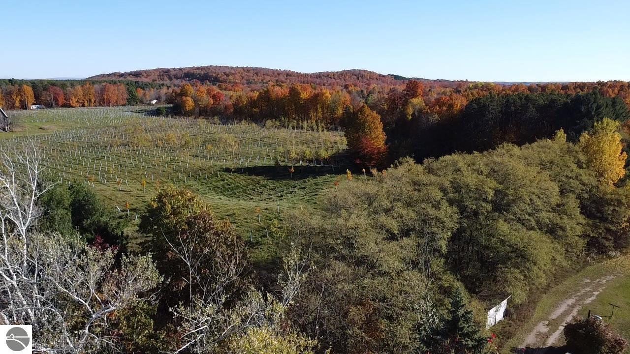 8721 Glover Lake Road, Bear Lake, MI 49614 — Photo 12