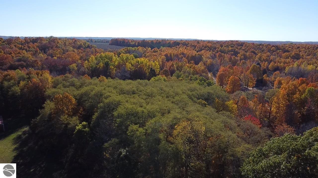 8721 Glover Lake Road, Bear Lake, MI 49614 — Photo 13