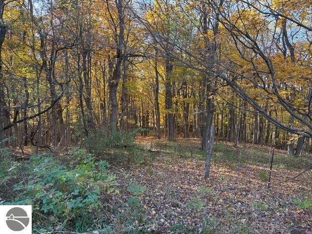 8721 Glover Lake Road, Bear Lake, MI 49614 — Photo 48