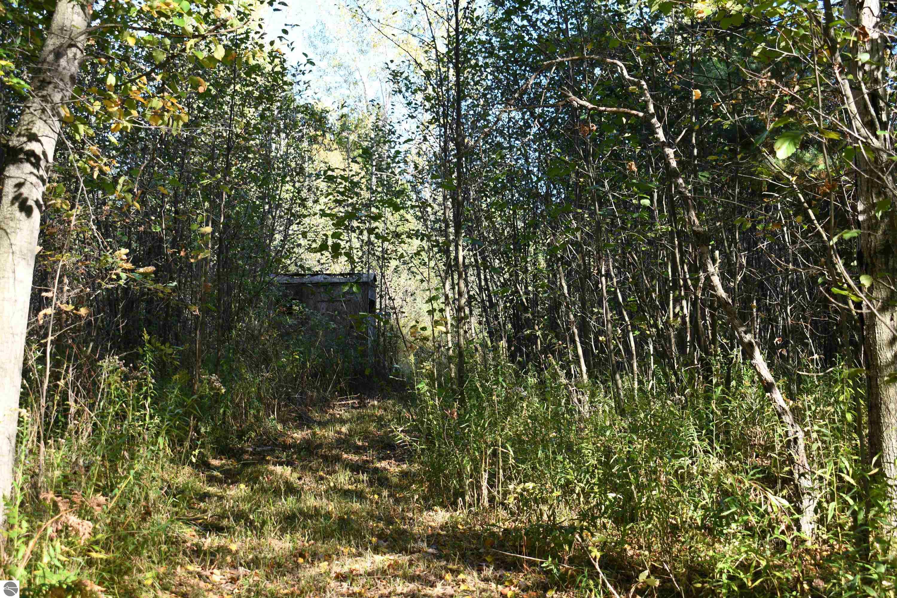 2275 Noble Road, Tawas City, MI 48763 — Photo 44