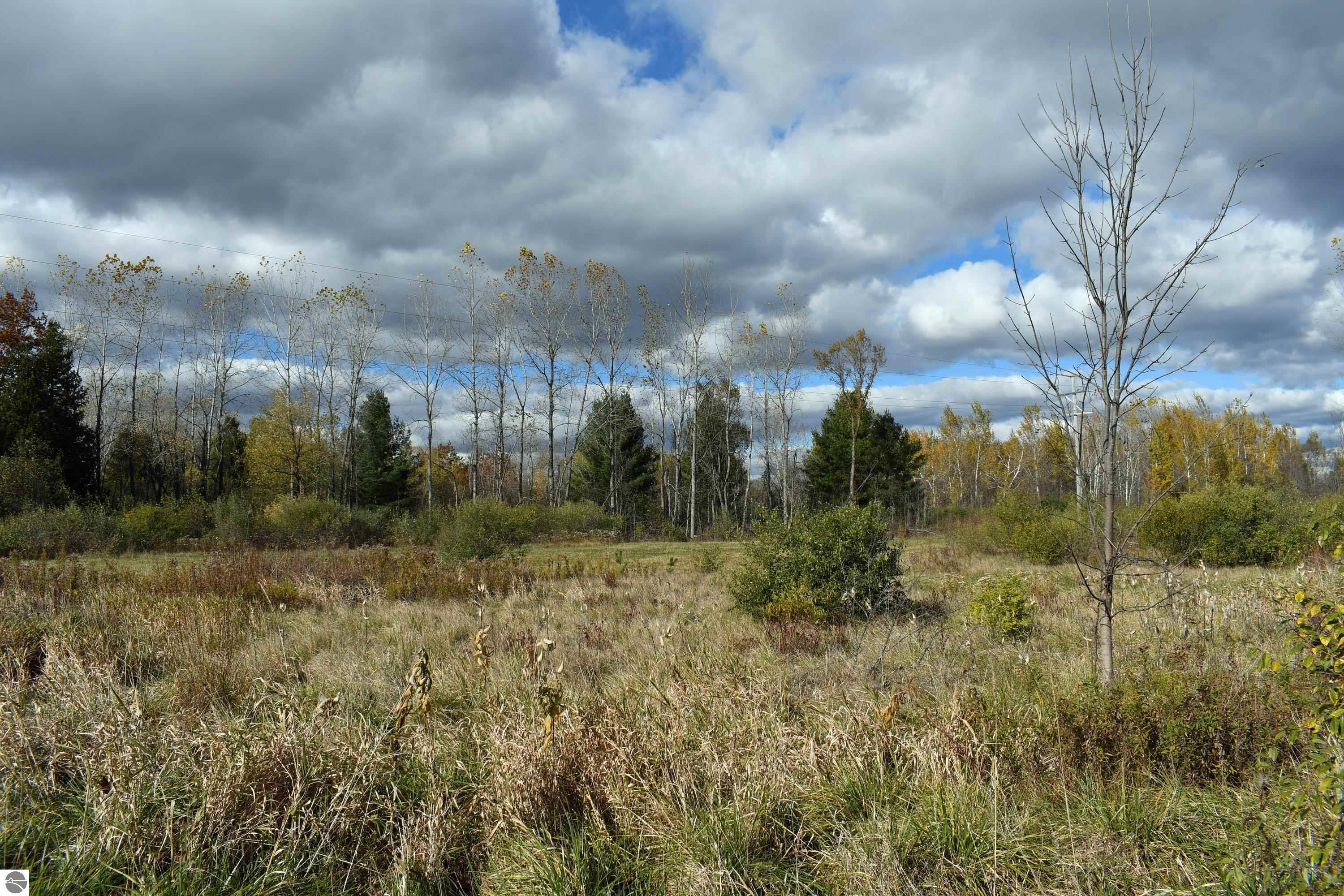 2275 Noble Road, Tawas City, MI 48763 — Photo 47