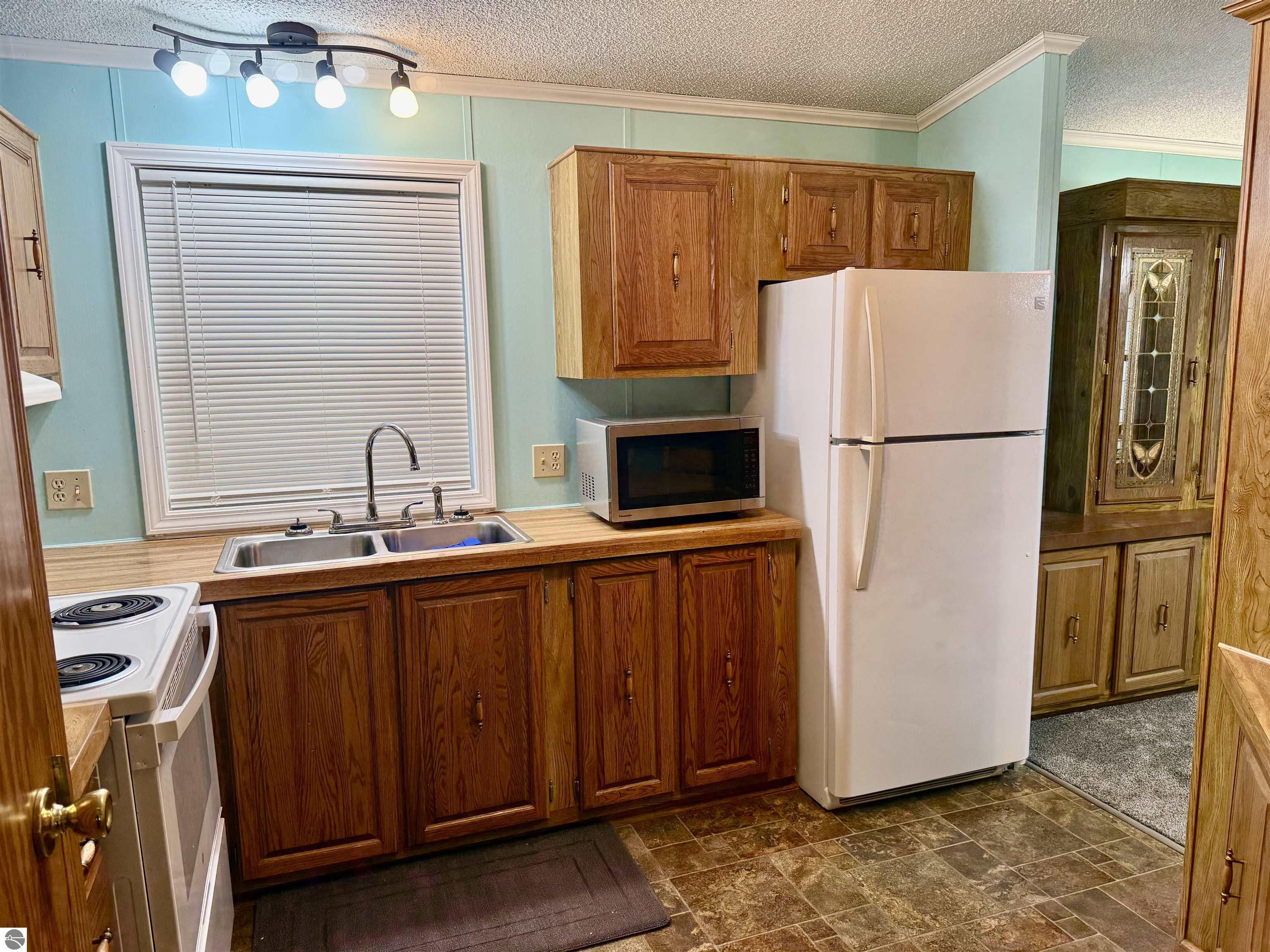 23 Meadow Lane, Ithaca, MI 48847 — Photo 14