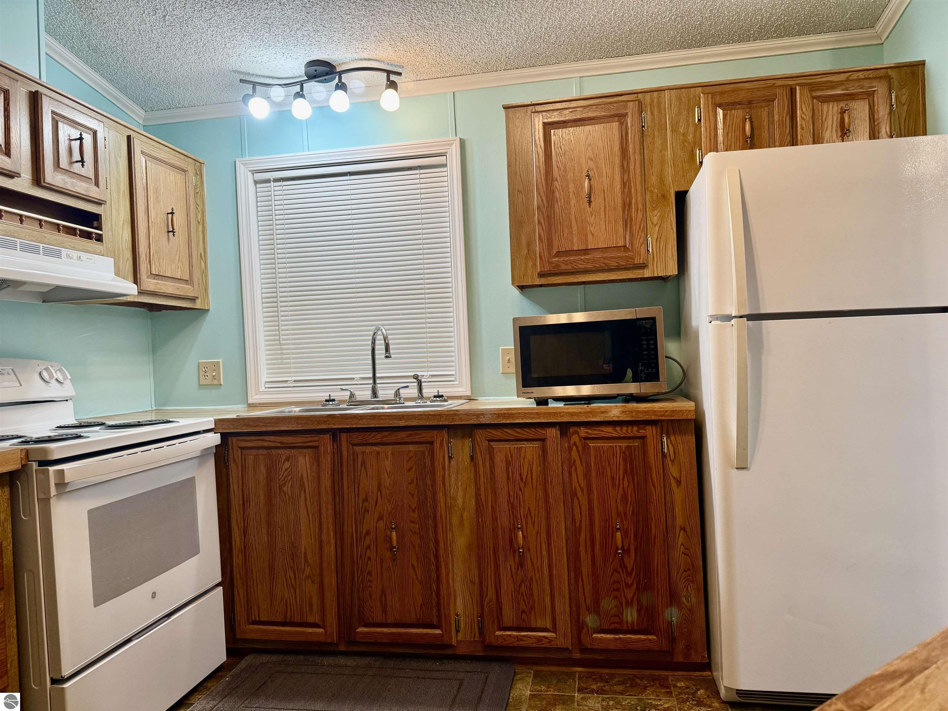 23 Meadow Lane, Ithaca, MI 48847 — Photo 16