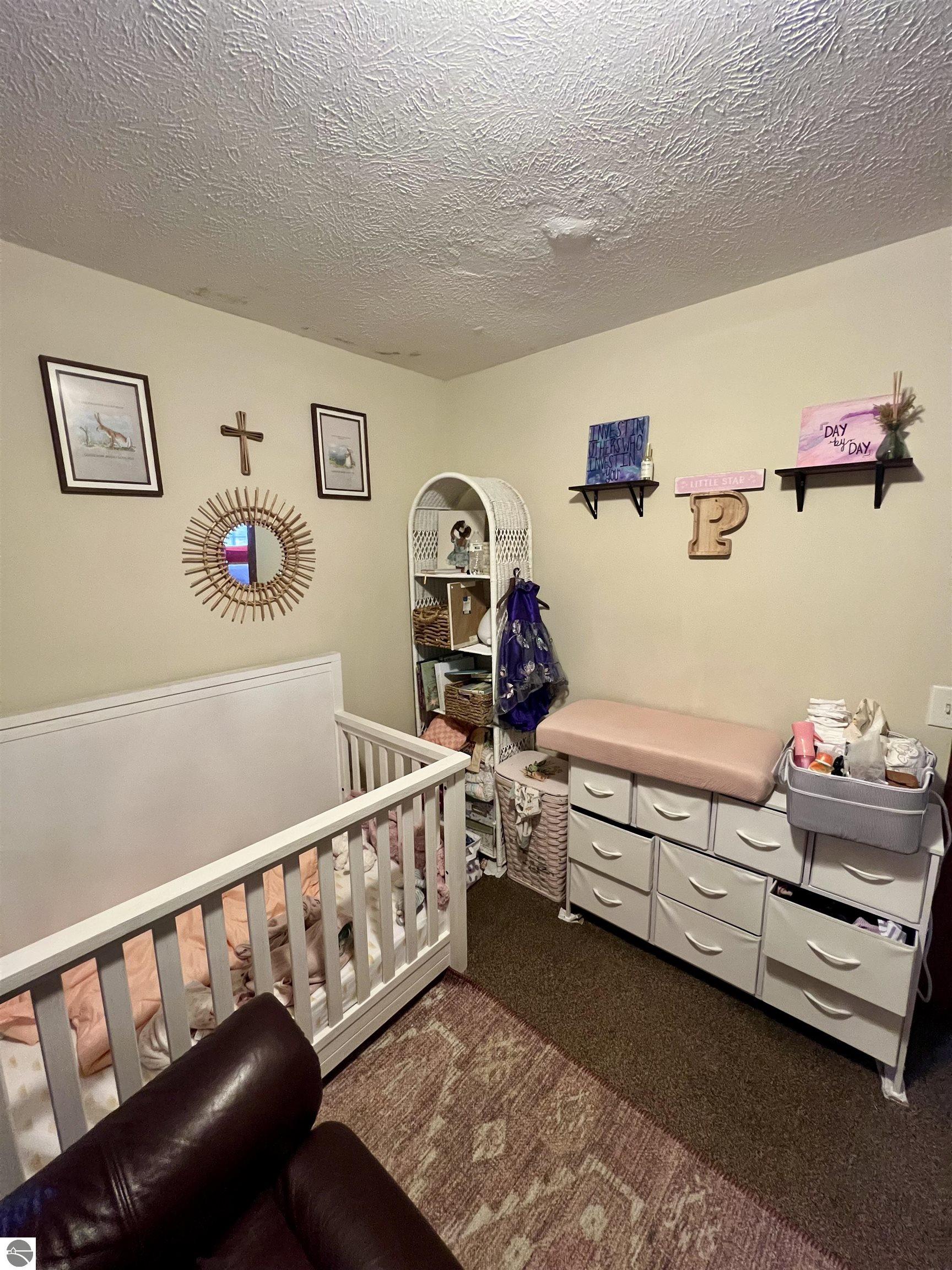 3425 E Washington Road, Ithaca, MI 48847 — Photo 6
